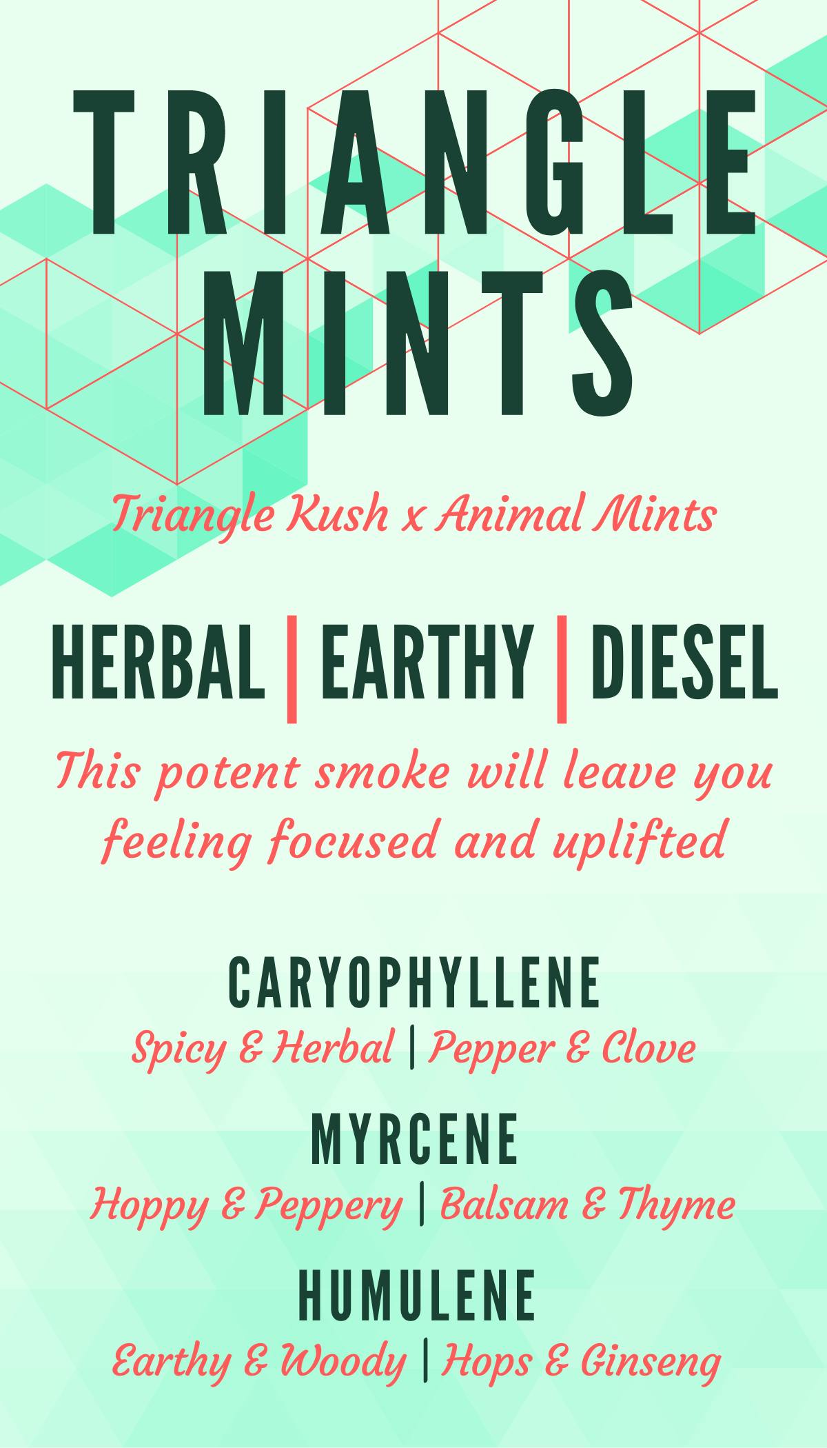 Triangle Mints - image 2