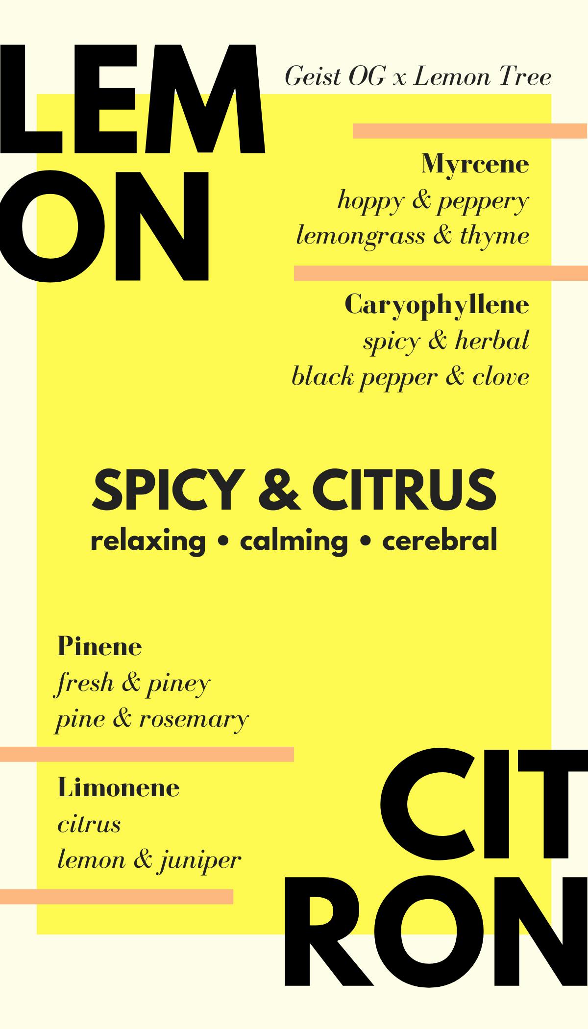 Lemon Citron - image 2