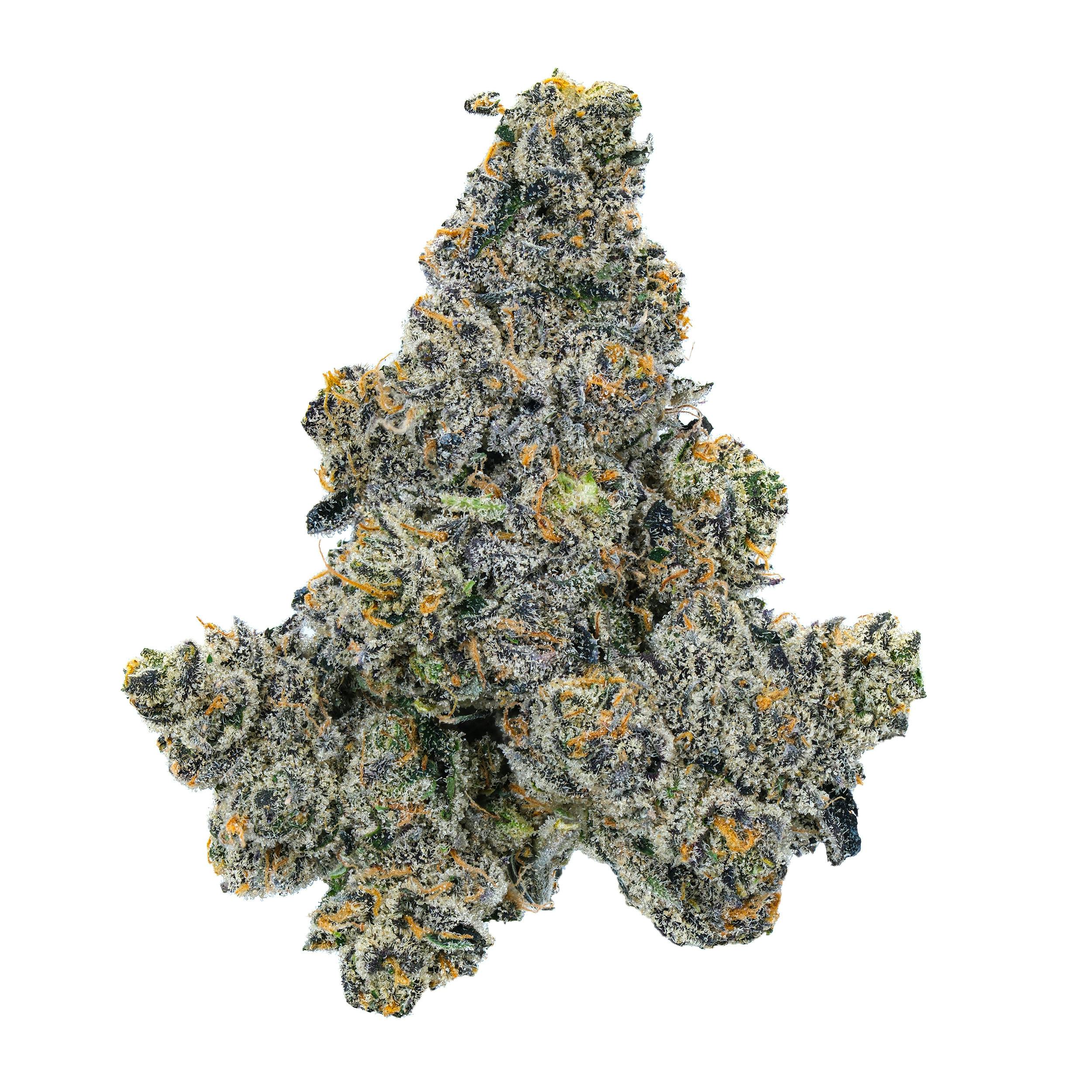 Gastro Pop Flower - image 4
