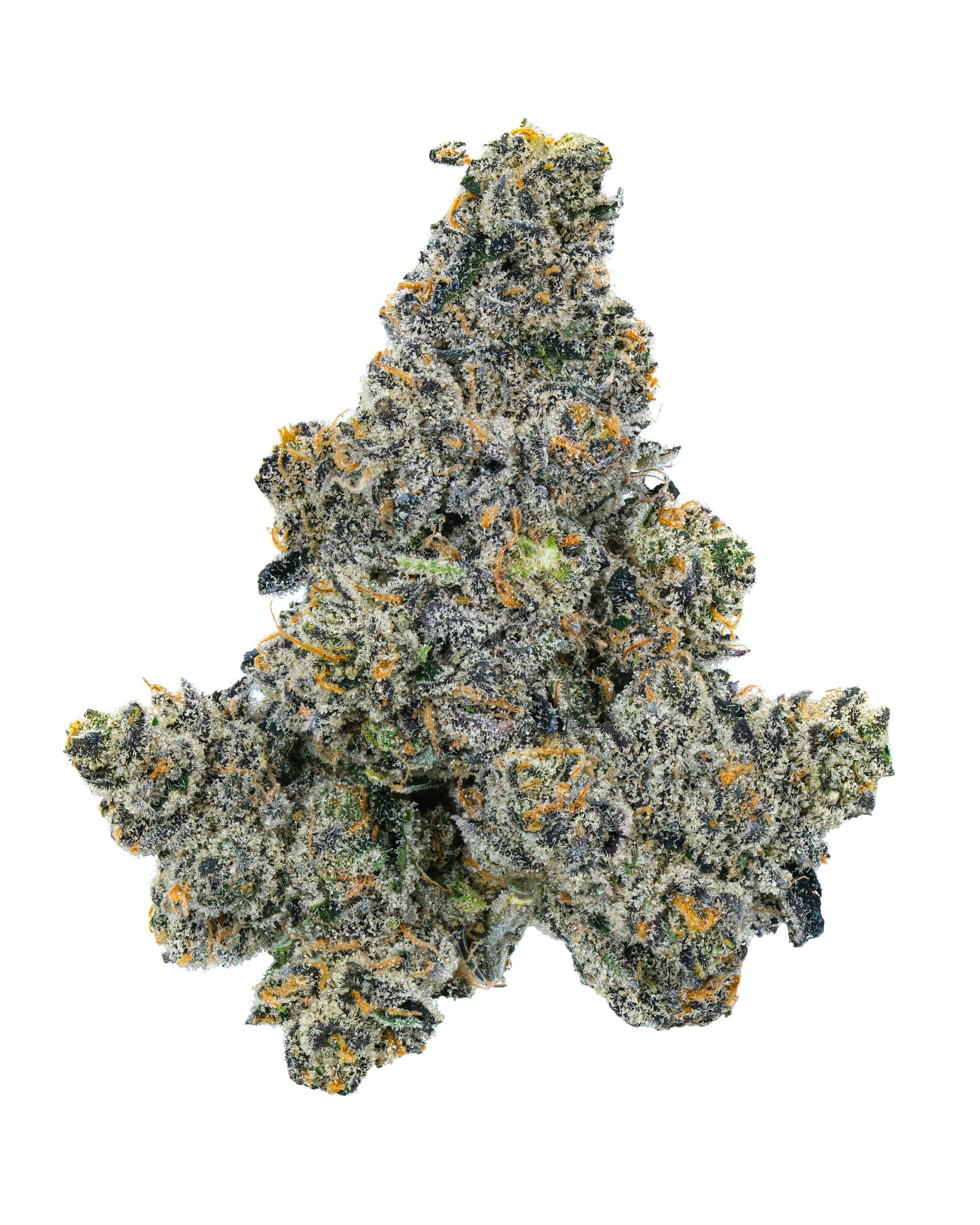 Gastro Pop Flower - image 3