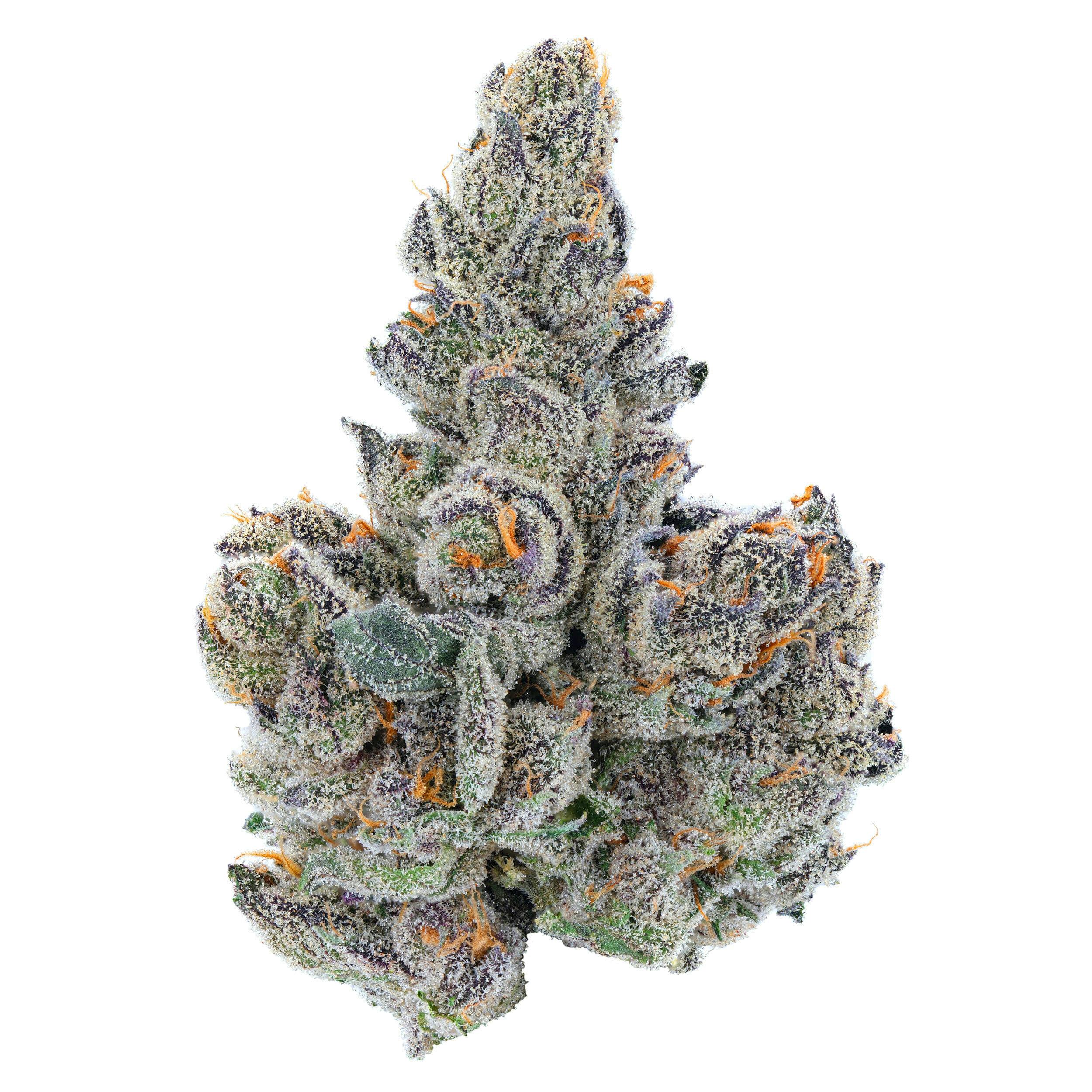Gastro Pop Flower - image 1