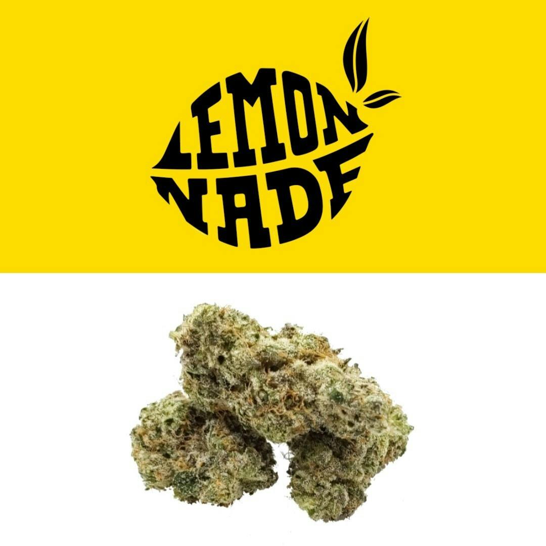 Lemonchello - image 1