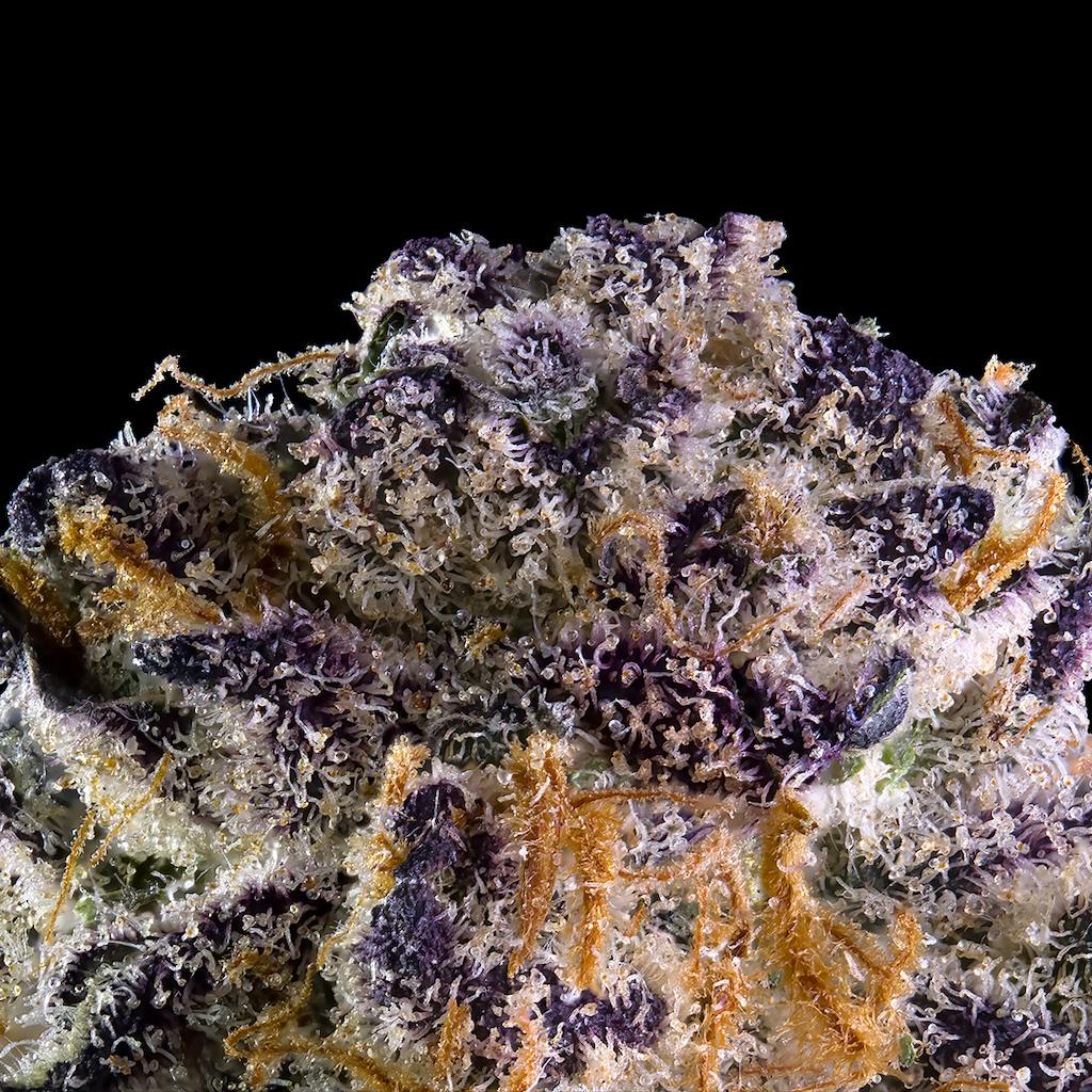Key Lime Jack Pre-Roll 5-Pack [2.5g] - image 6