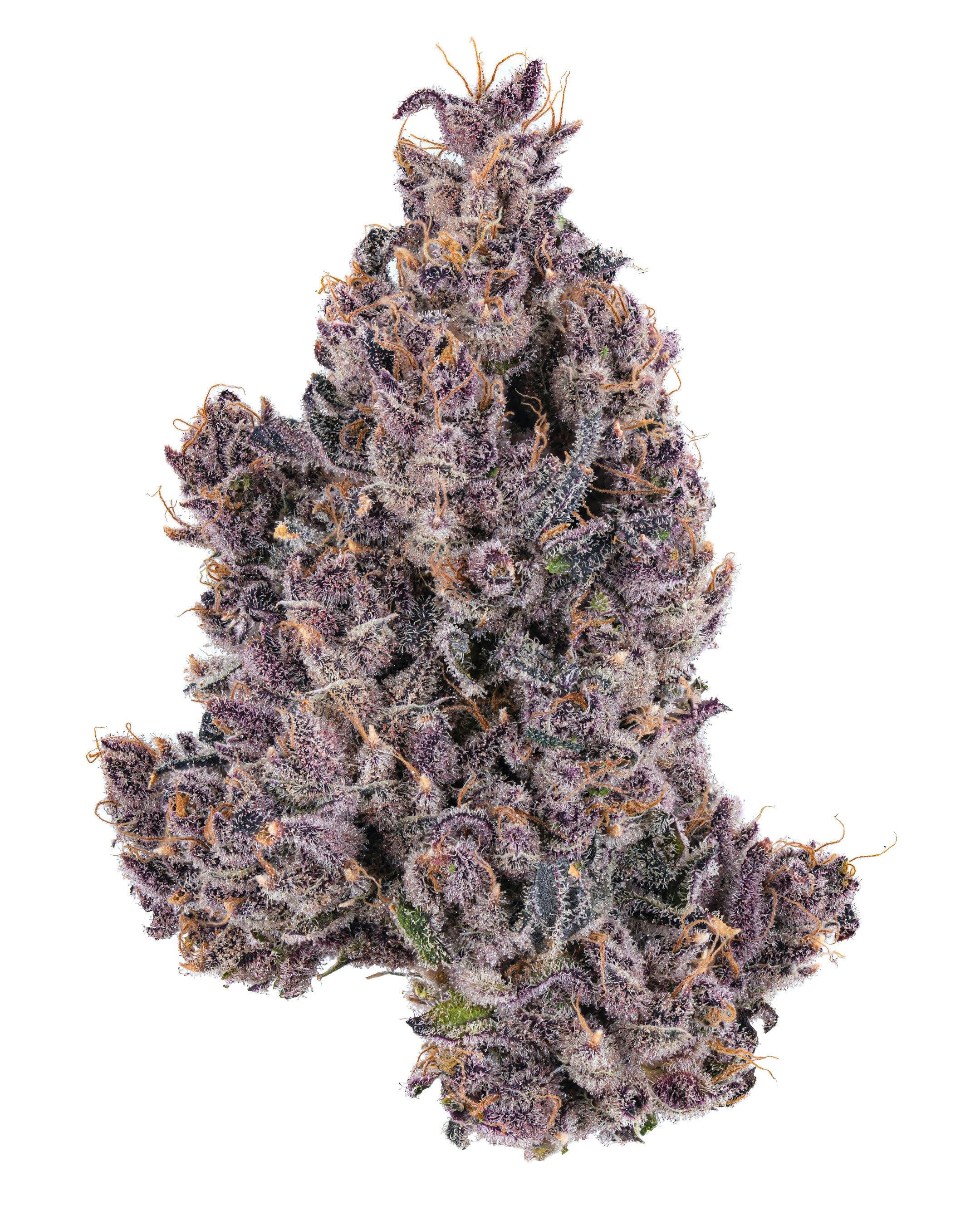 All Gas Flower - image 1