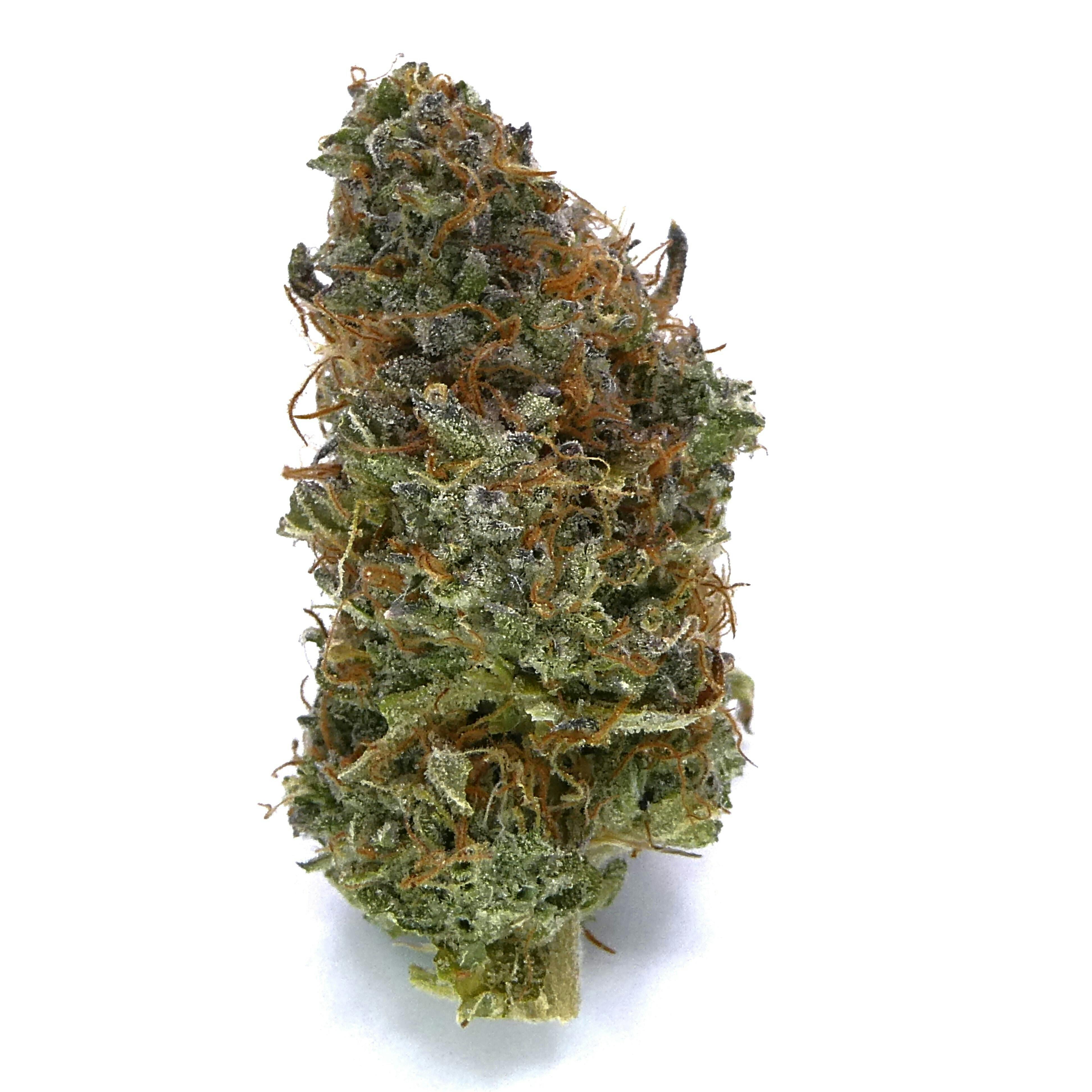 Lemon Royale Buds - image 1