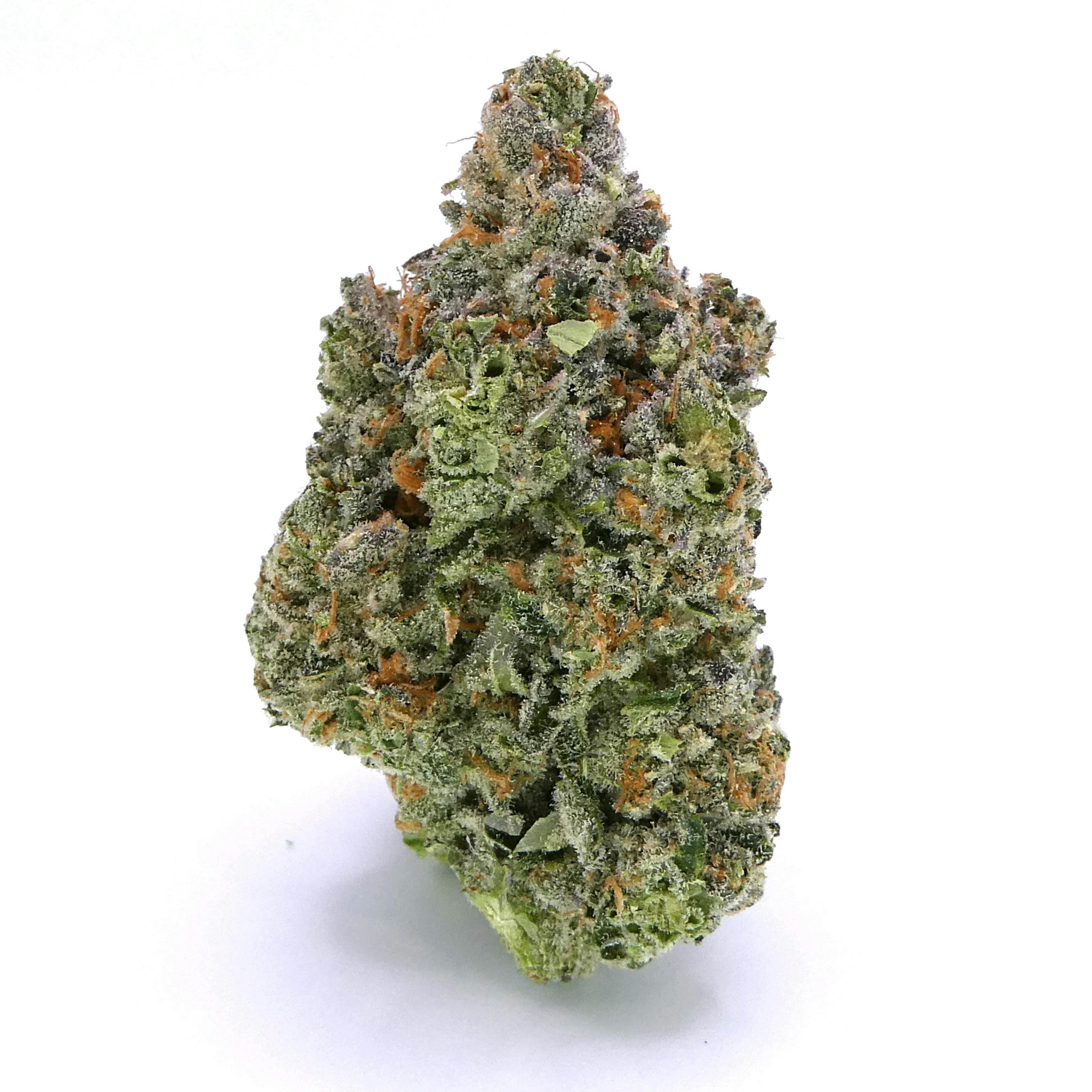 Silver Spoon Buds - image 1
