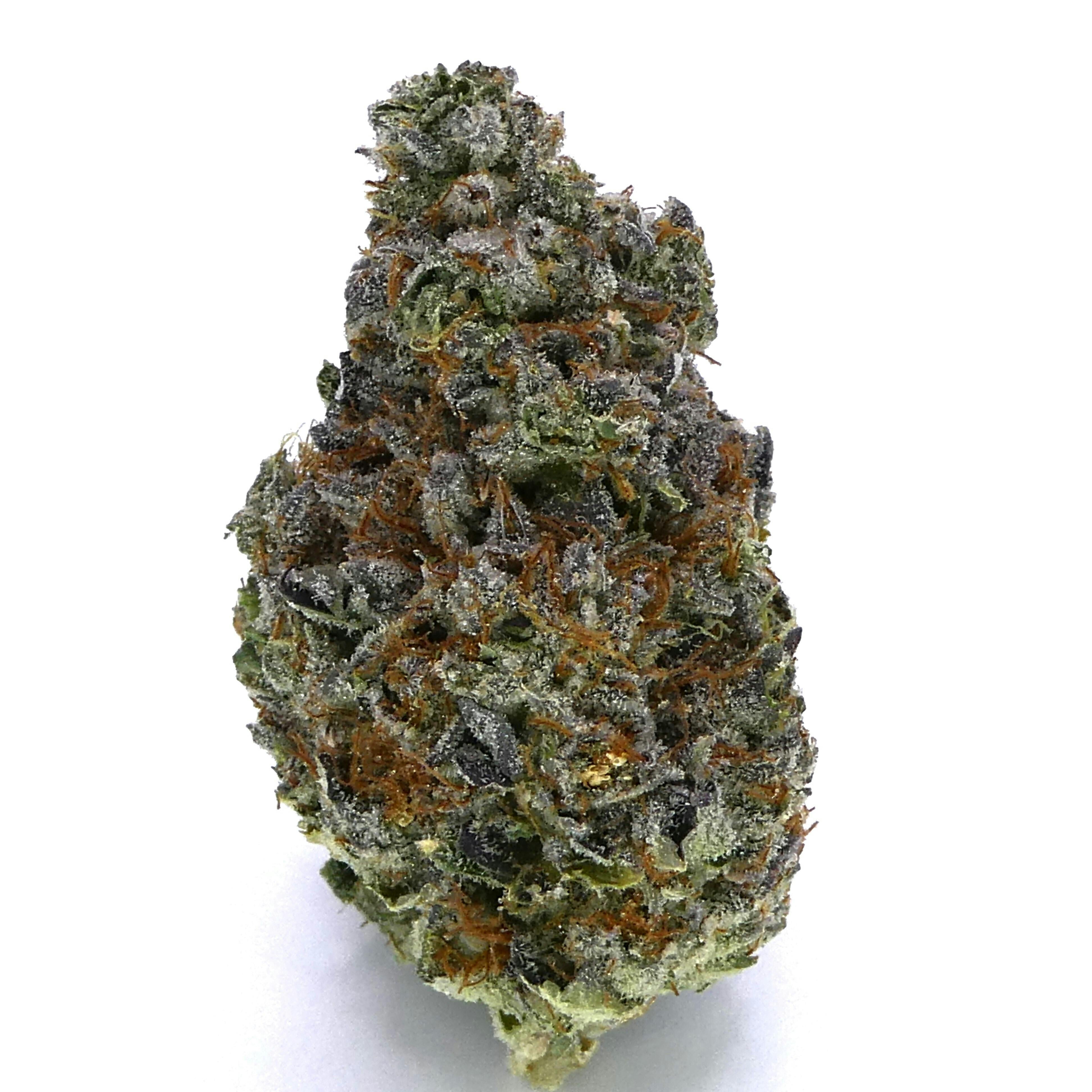 Warp Speed Buds - image 1