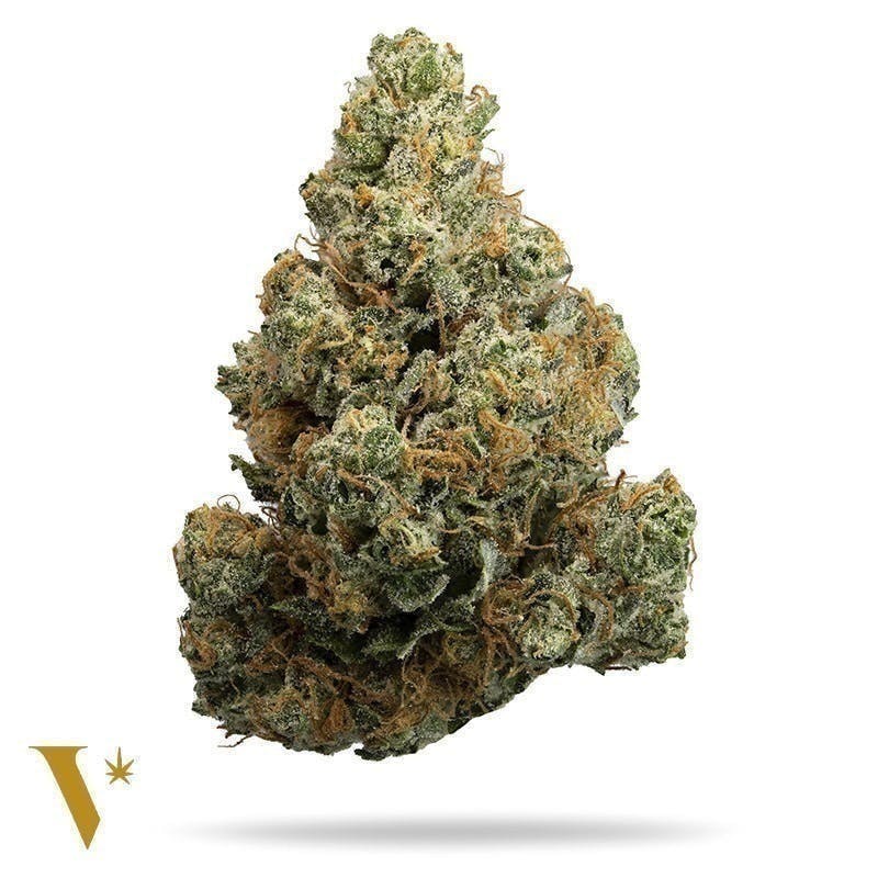 Biker OZ [10g] - image 1
