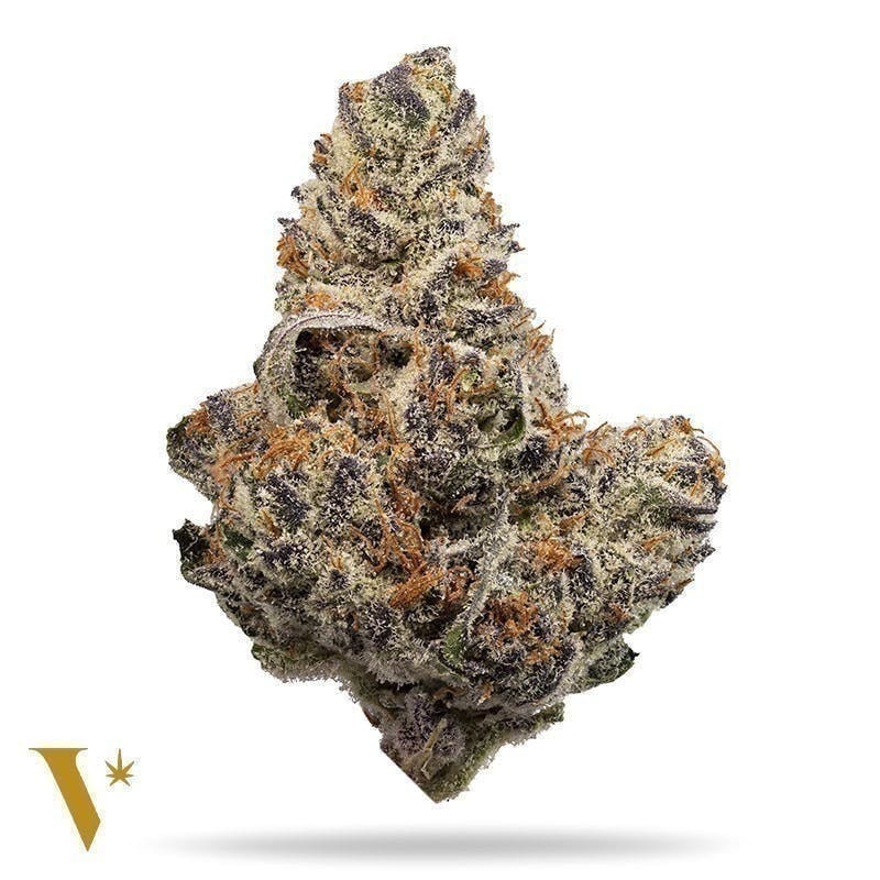 Blood Orange [10g] - image 2