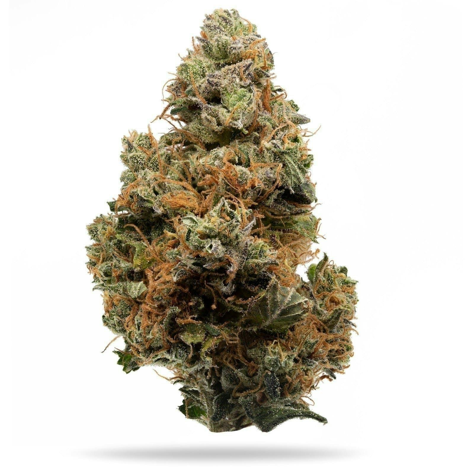 Colorado Cool Aid [10g] - image 1