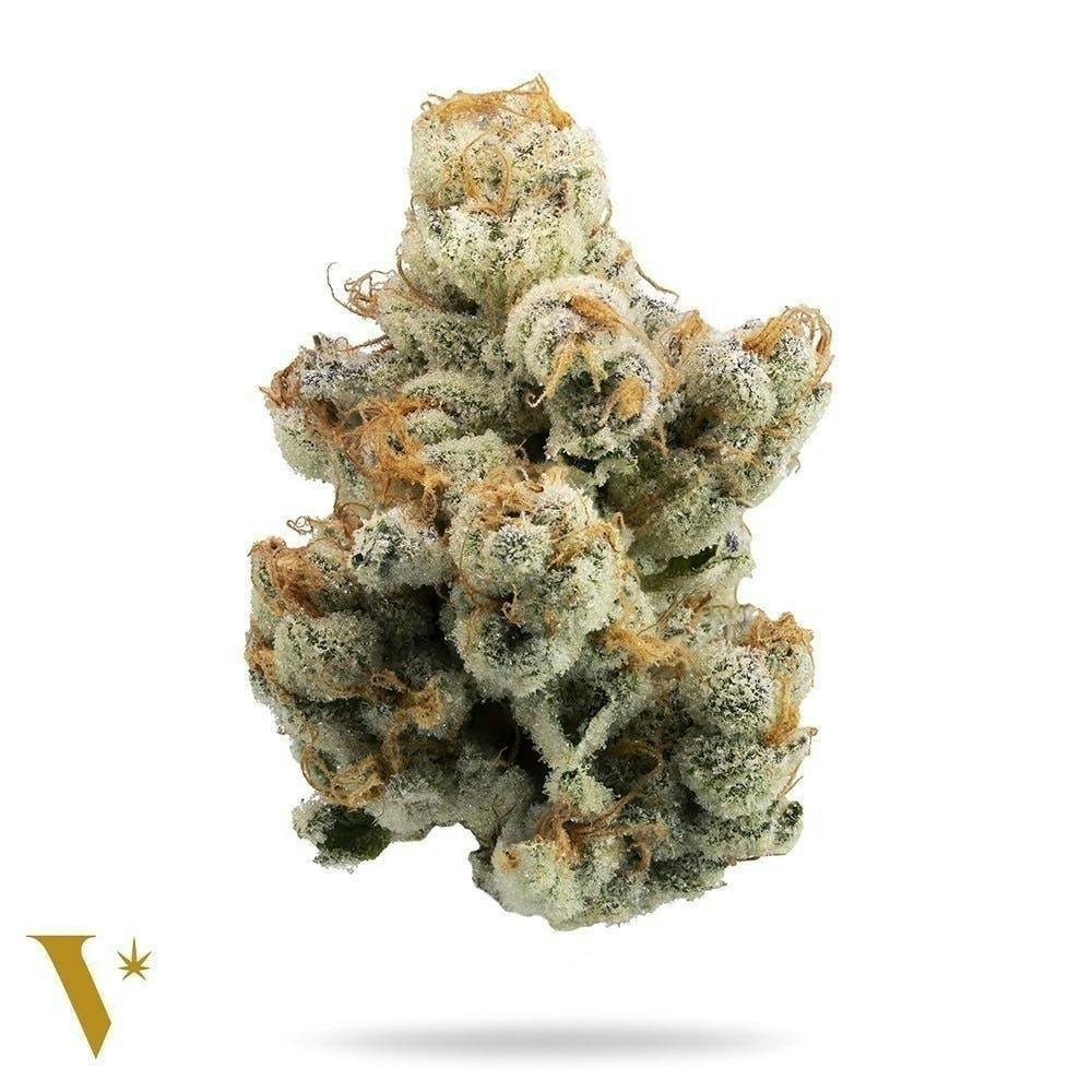 Slurricane [1g] - image 2