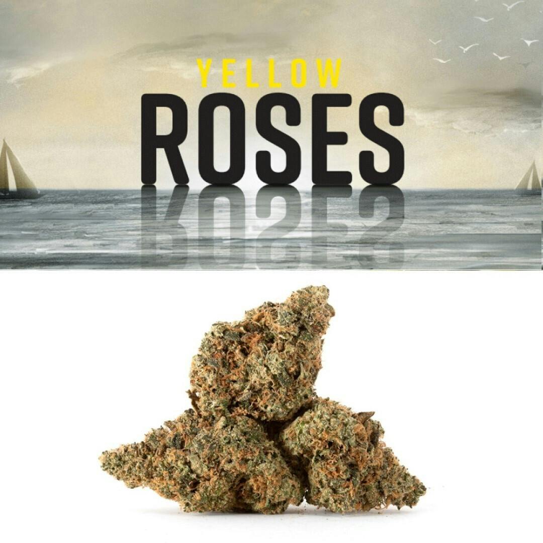 Yellow Roses - image 1