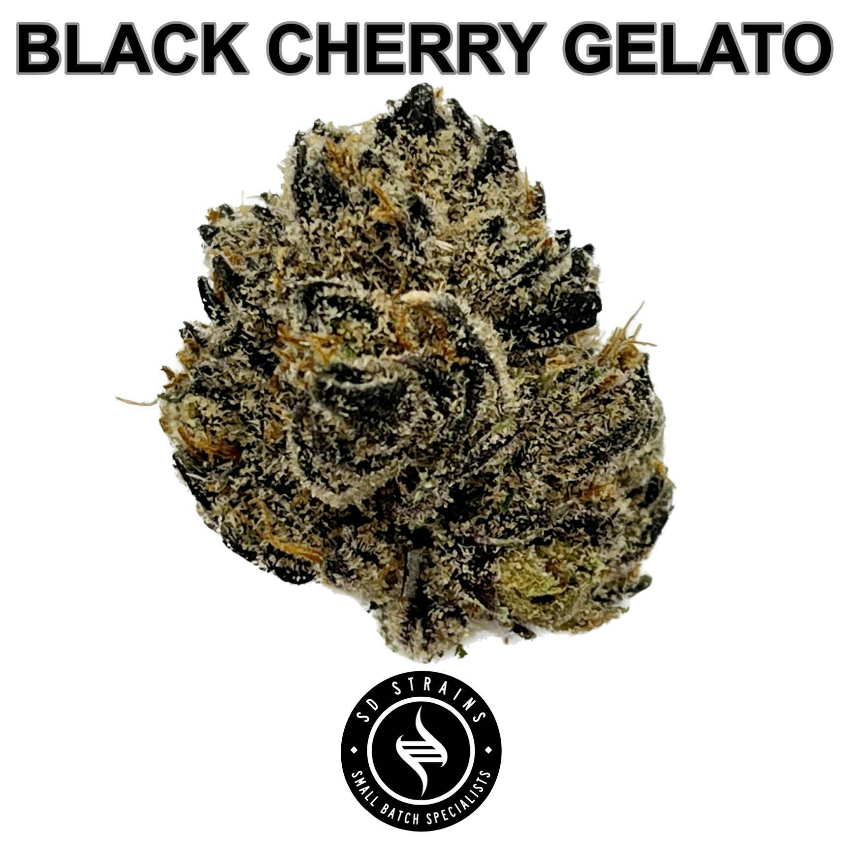 SD Strains Black Cherry Gelato 3.5g - image 1