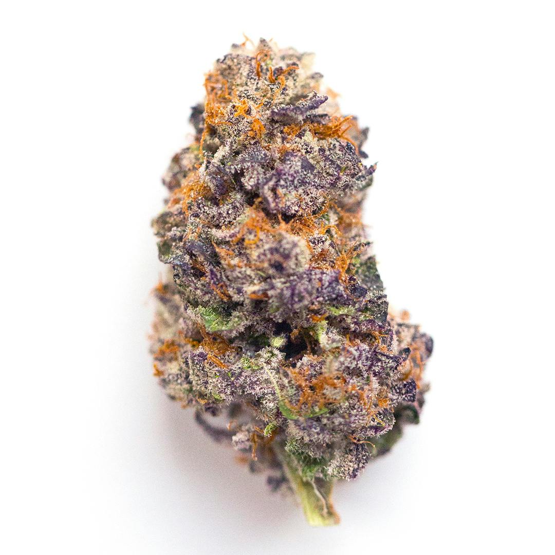 FAIRYTALE EXOTICS | 14 Grams Candyland Premium Indoor (INIDICA) 37% THC - image 1