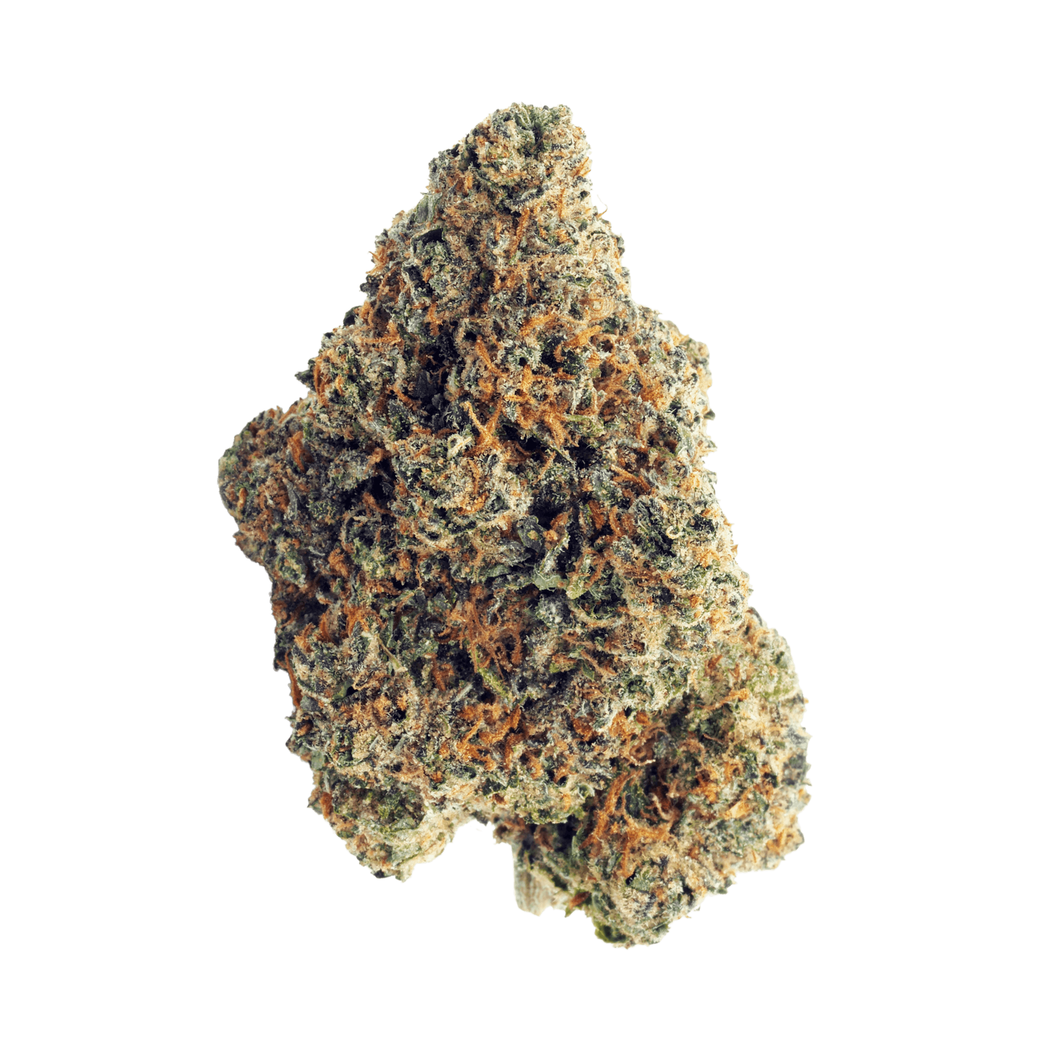 Gruntz Teenth 1/16 (1.8G) - image 2