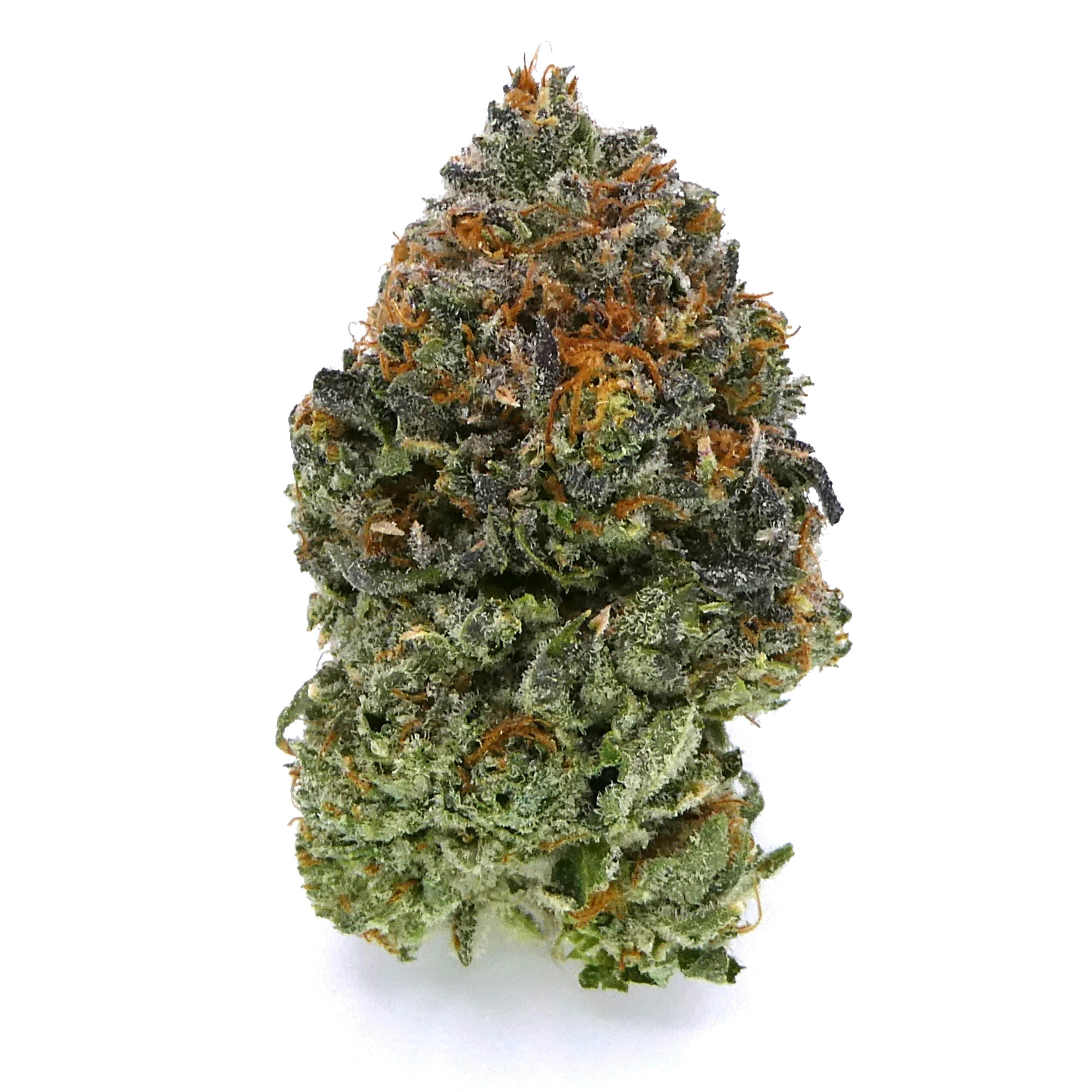 Petrol Diamonds Buds - image 1
