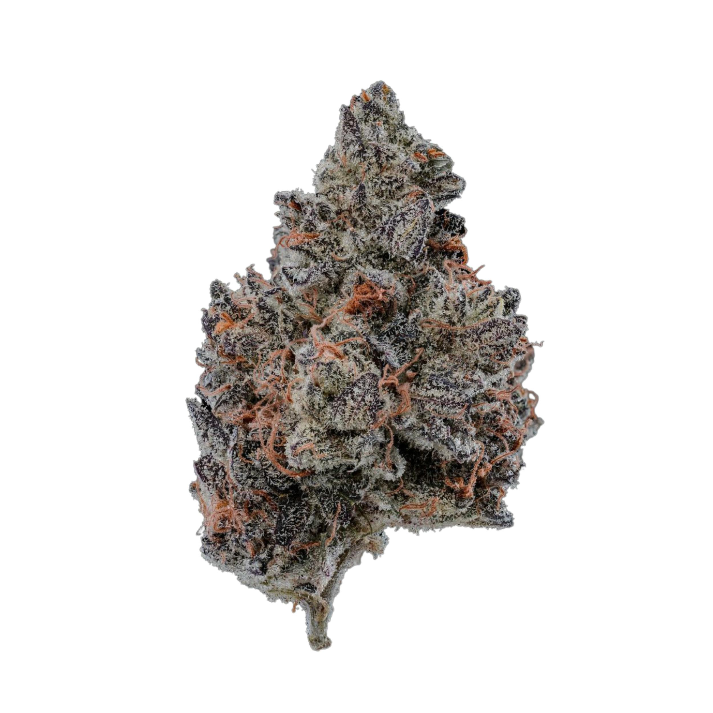 Paradise Flower - Elderberries (3.5g) - image 1