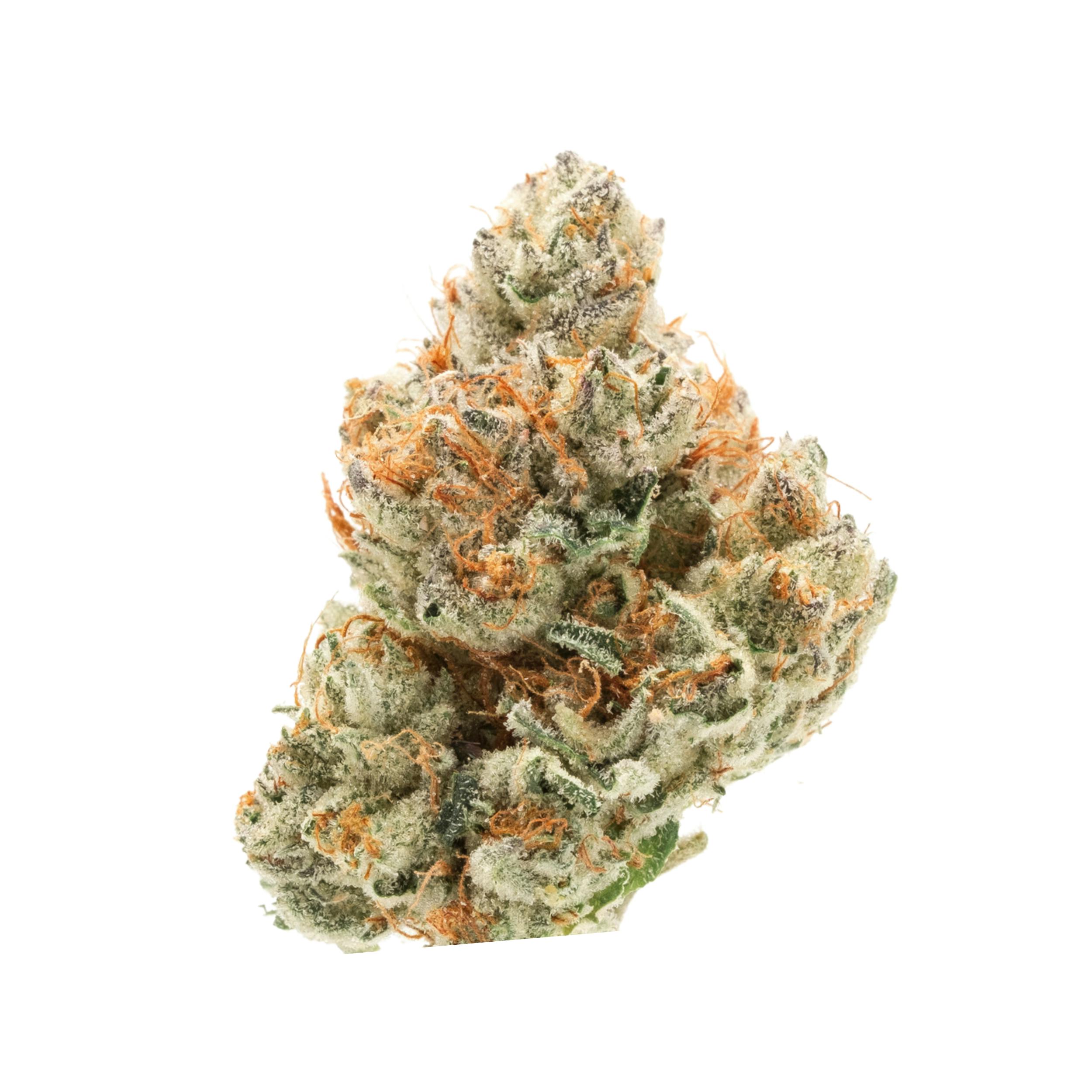 Paradise Flower - White Peaches (3.5g) - image 1
