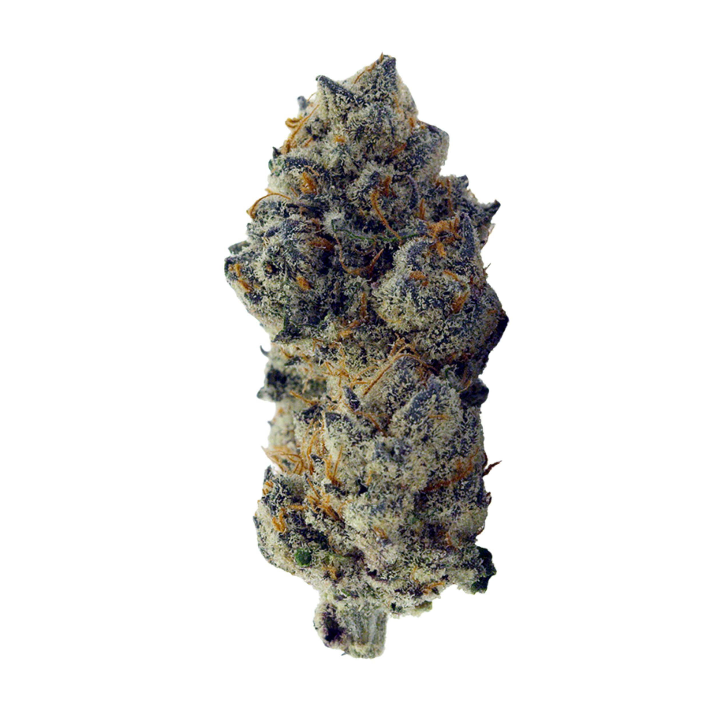 Paradise Flower - Milk + Honey (3.5g) - image 1