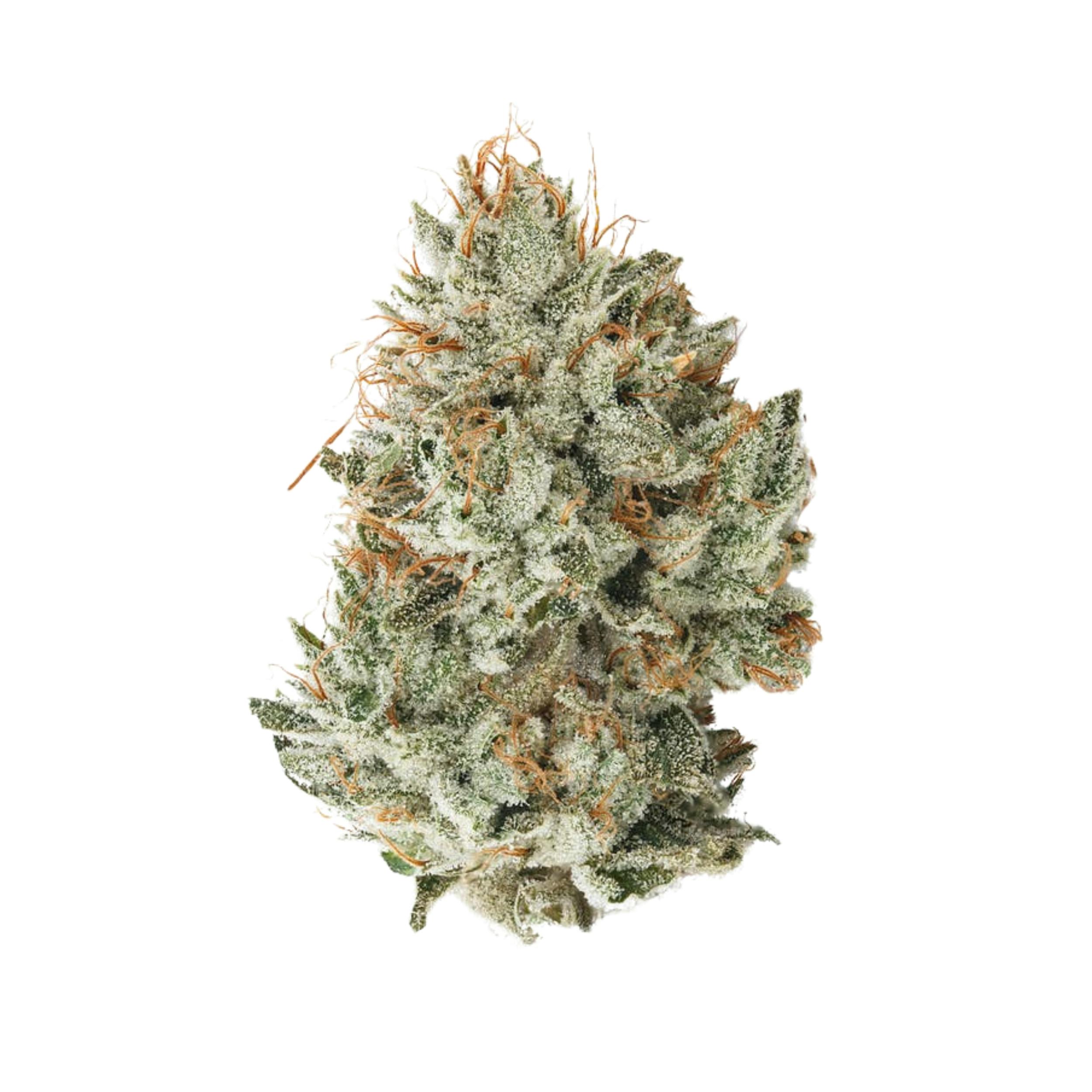 Paradise Flower - Sour Grapes (3.5g) - image 1