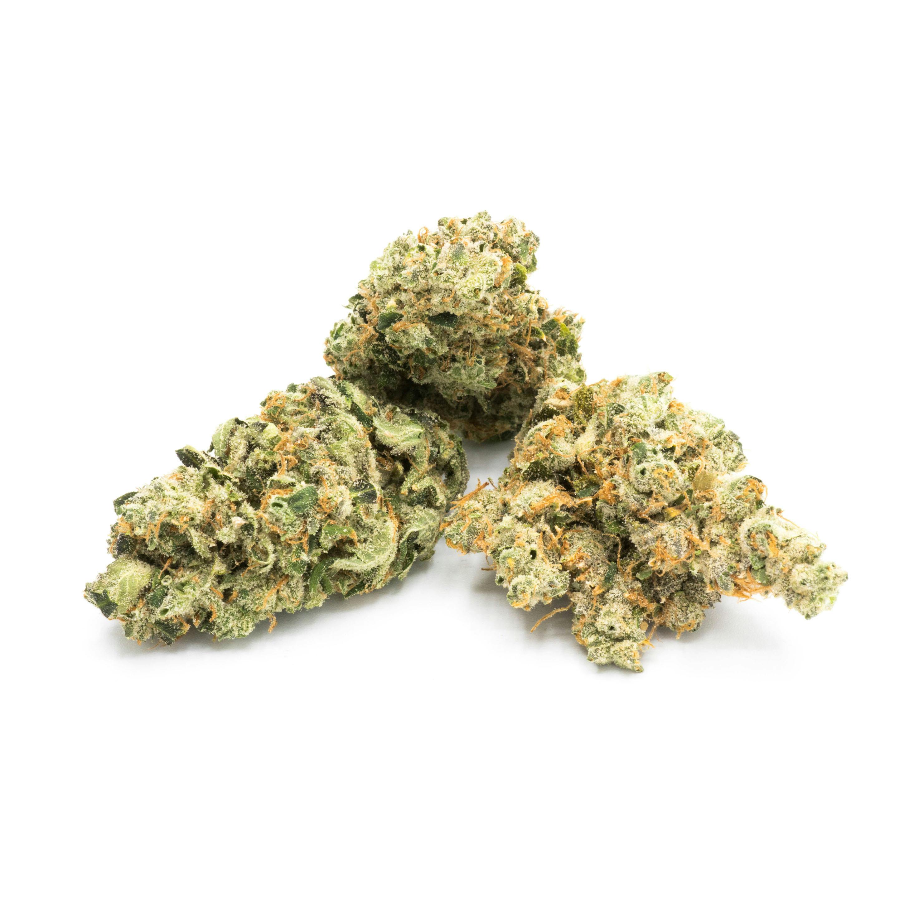 Gelato #33 1g Flower - image 1