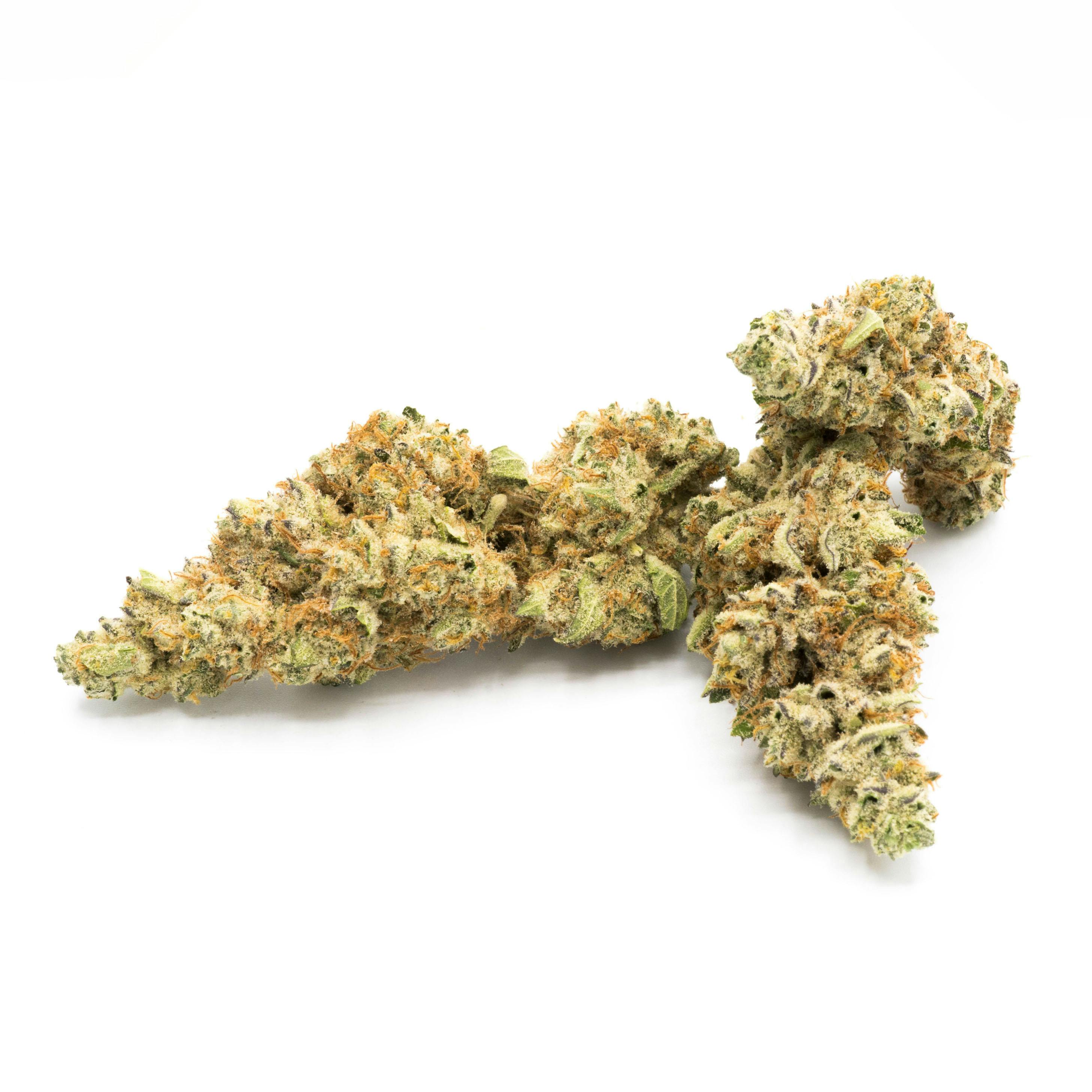 Hibernate 1g Flower - image 1