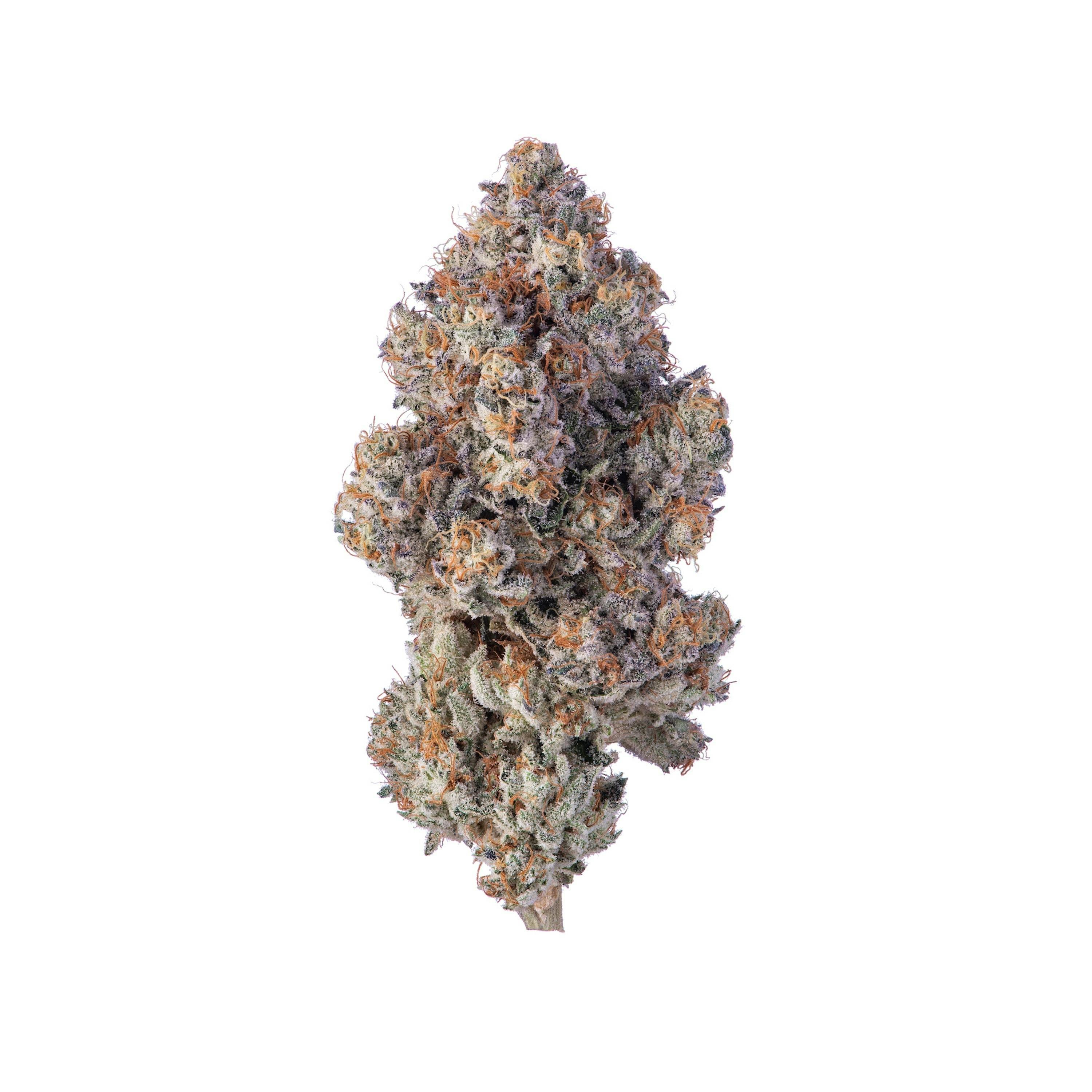 Violet Fog 1g Flower - image 1