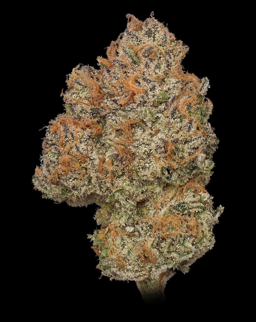 AK Cookies 1g Pre-Roll - image 1