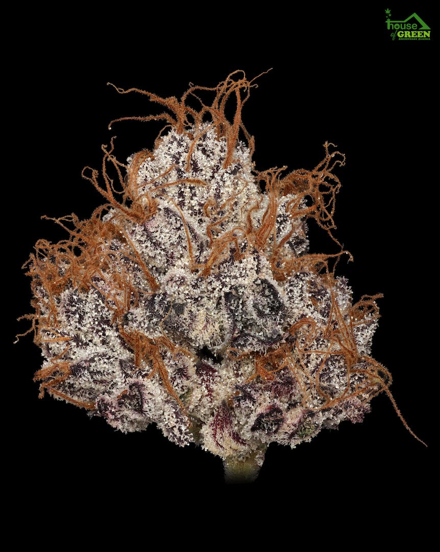 Wedding Crashers 14g Flower - image 1