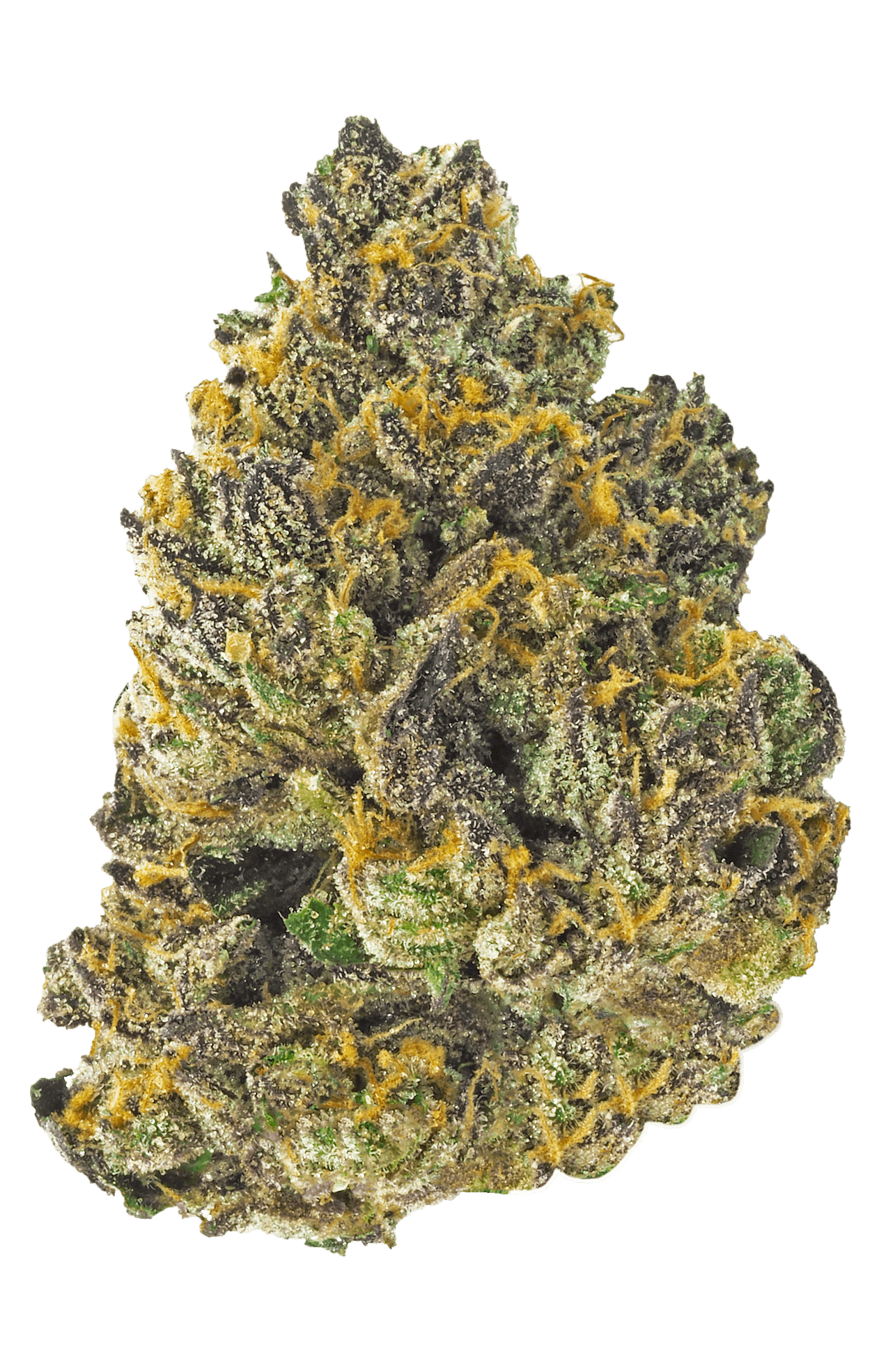 Apple Tree - Half Oz - 14G - image 2