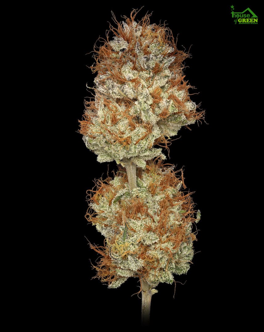 Willy's Wonca 1.5g Fat Boy - image 1