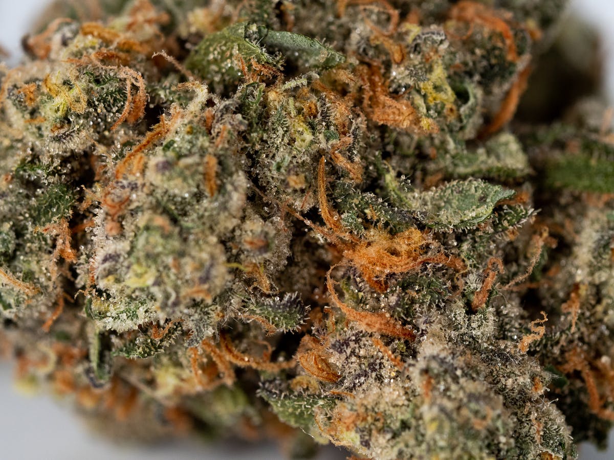 King's Aero - Banana Cream Pie - 4g Flower - image 1