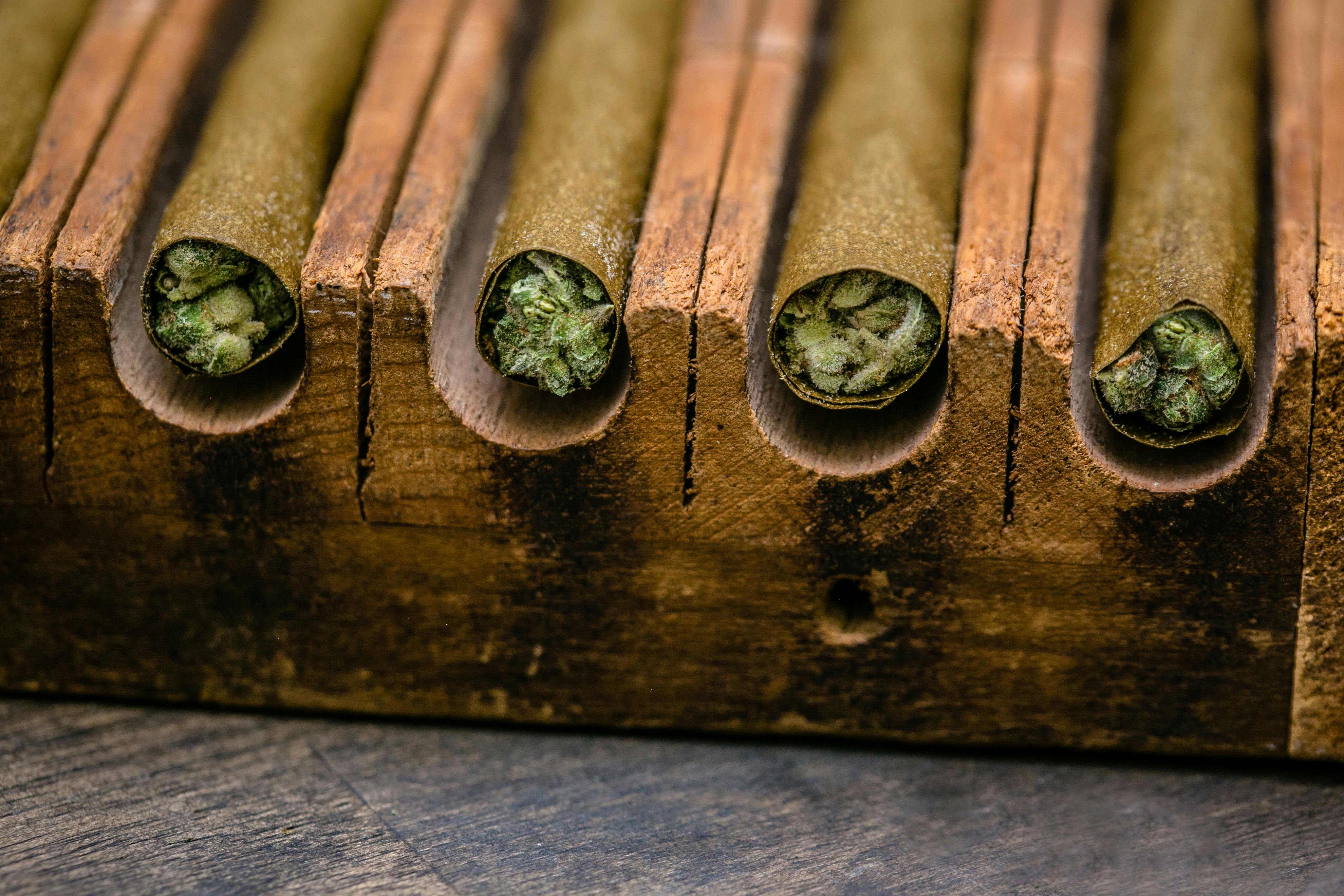 El Bluntito x Mohave Reserve - 4-Pack - Fuji Sherb - 4 x .75G [Mini Blunt] - image 4