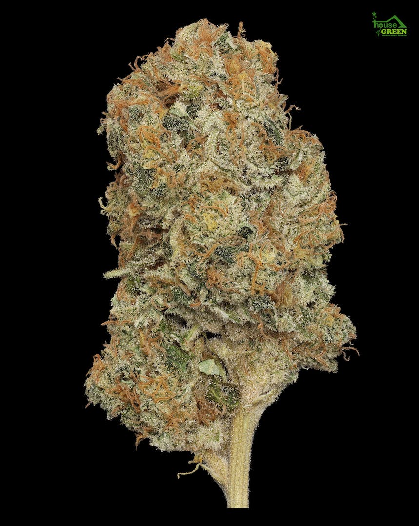 Opie Dopie 1g Flower - image 1