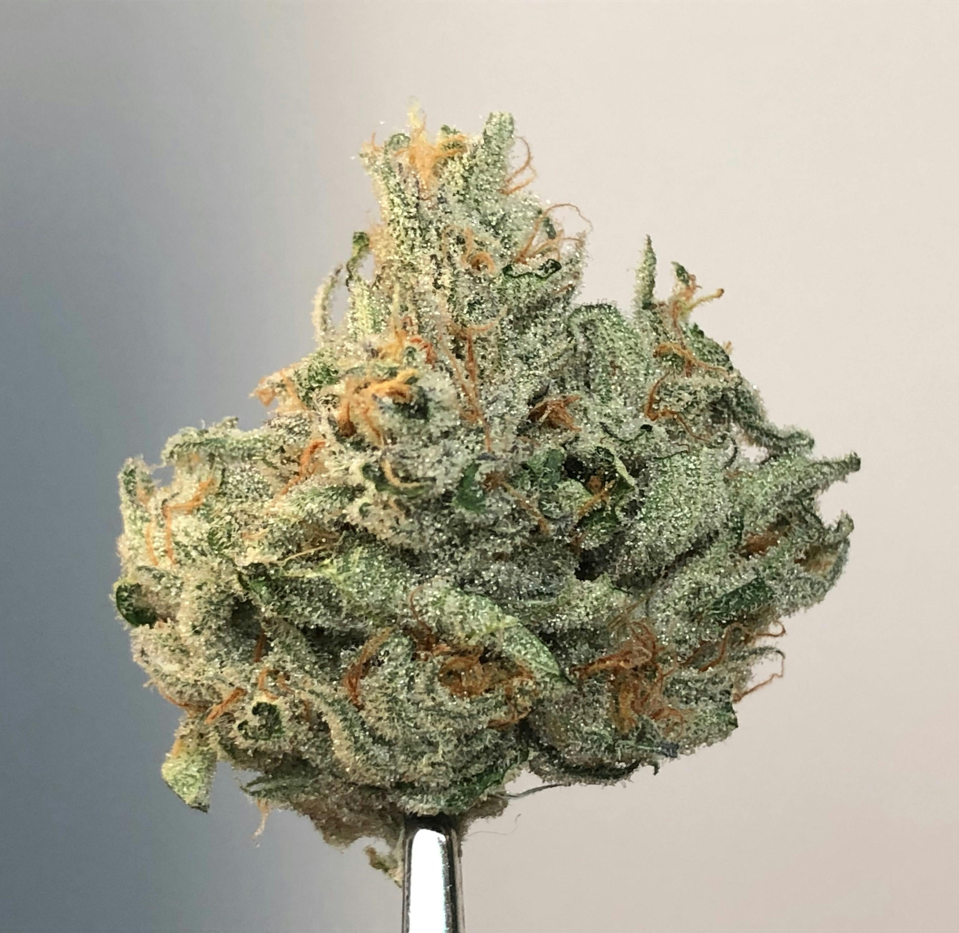 Quantum Kush 1g Flower - image 1
