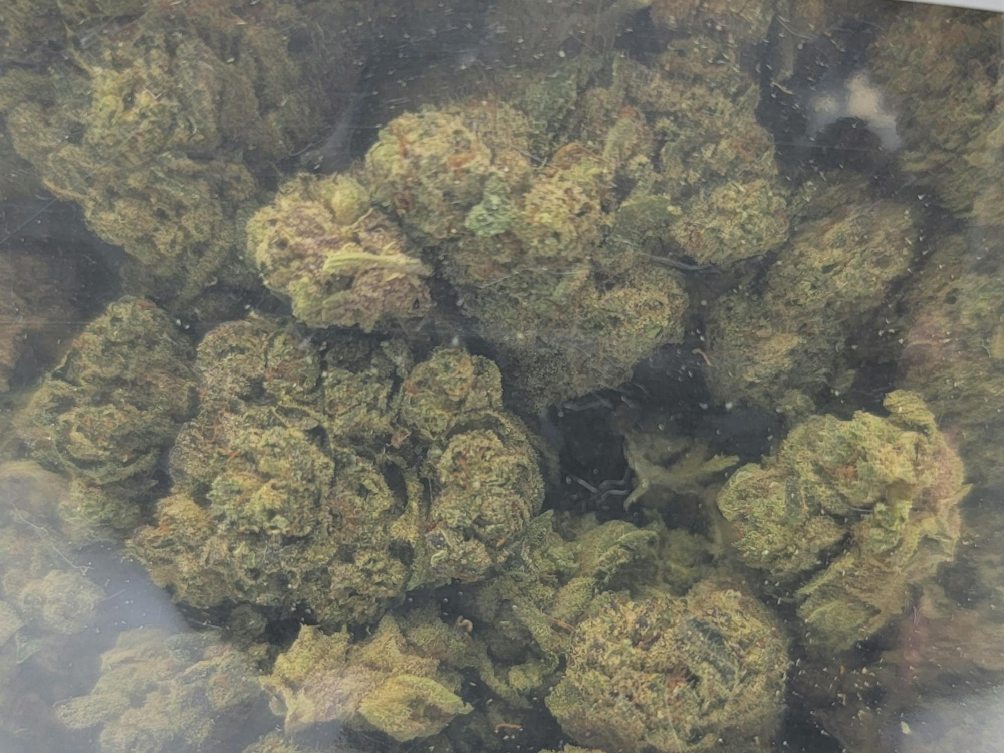 (33%) Gello Gelato (28g) HYBRID - image 2