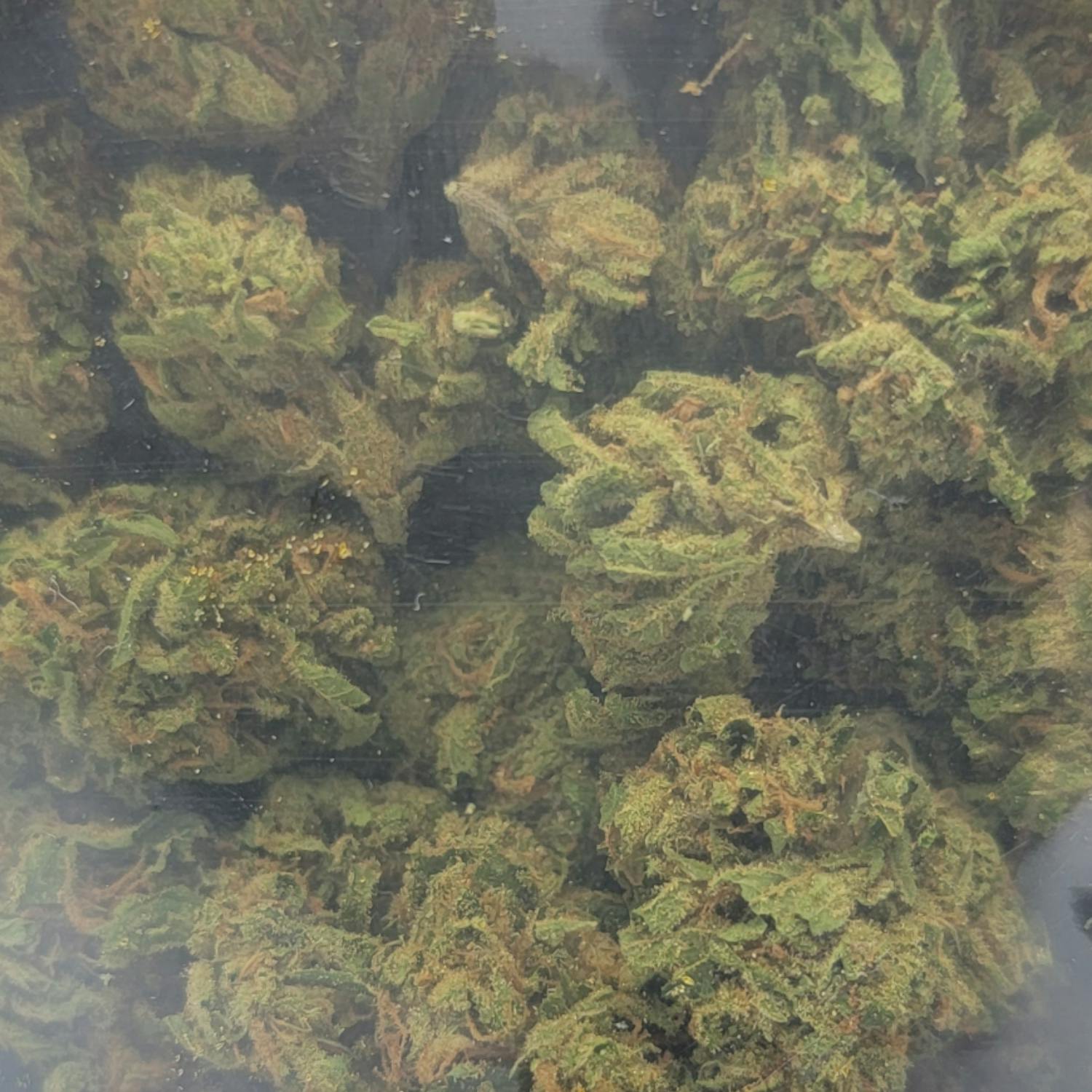 (32%) French Toast (28g) INDICA - image 2