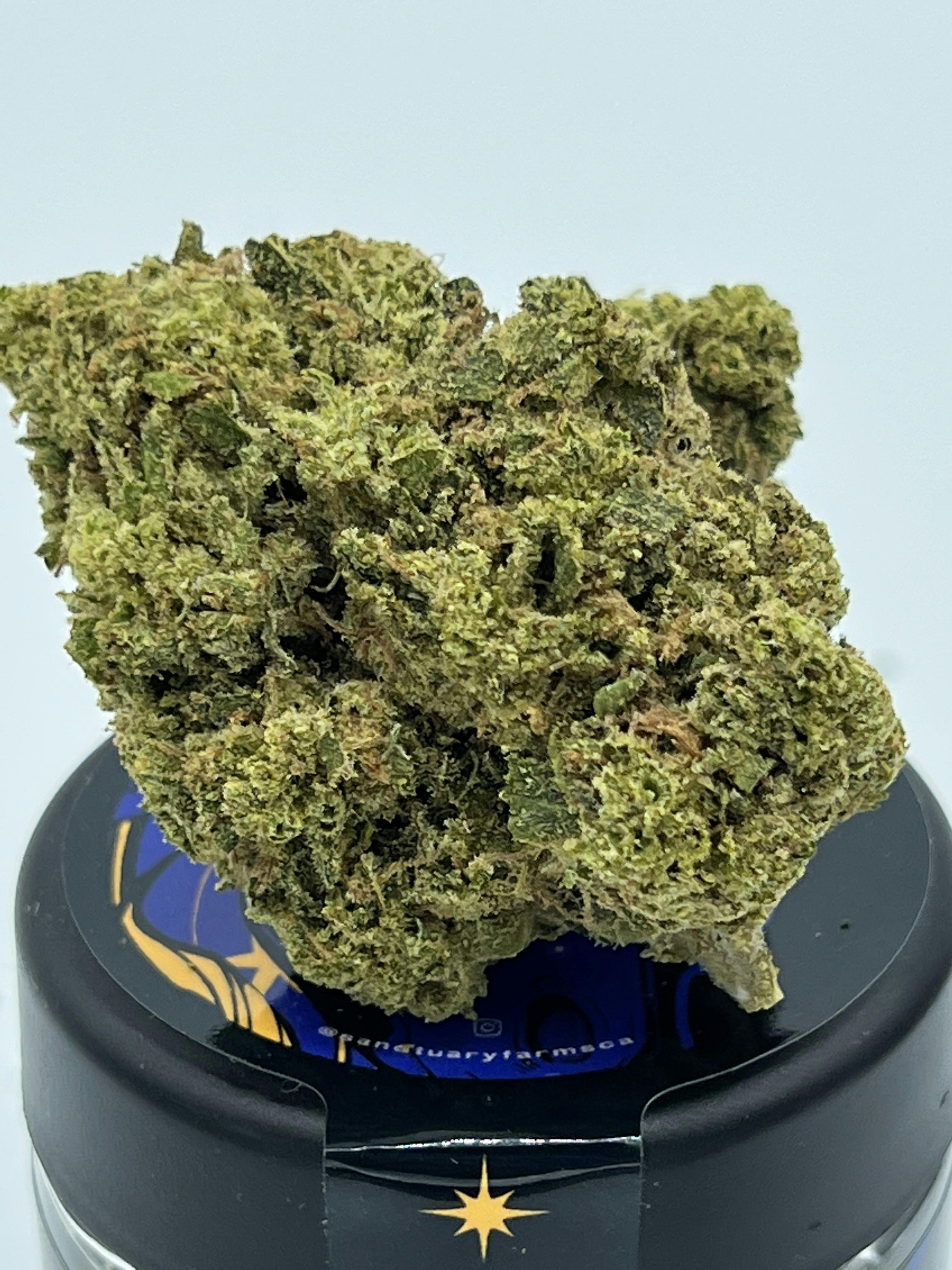 Sanctuary Farms Blunicorn 14g - image 2