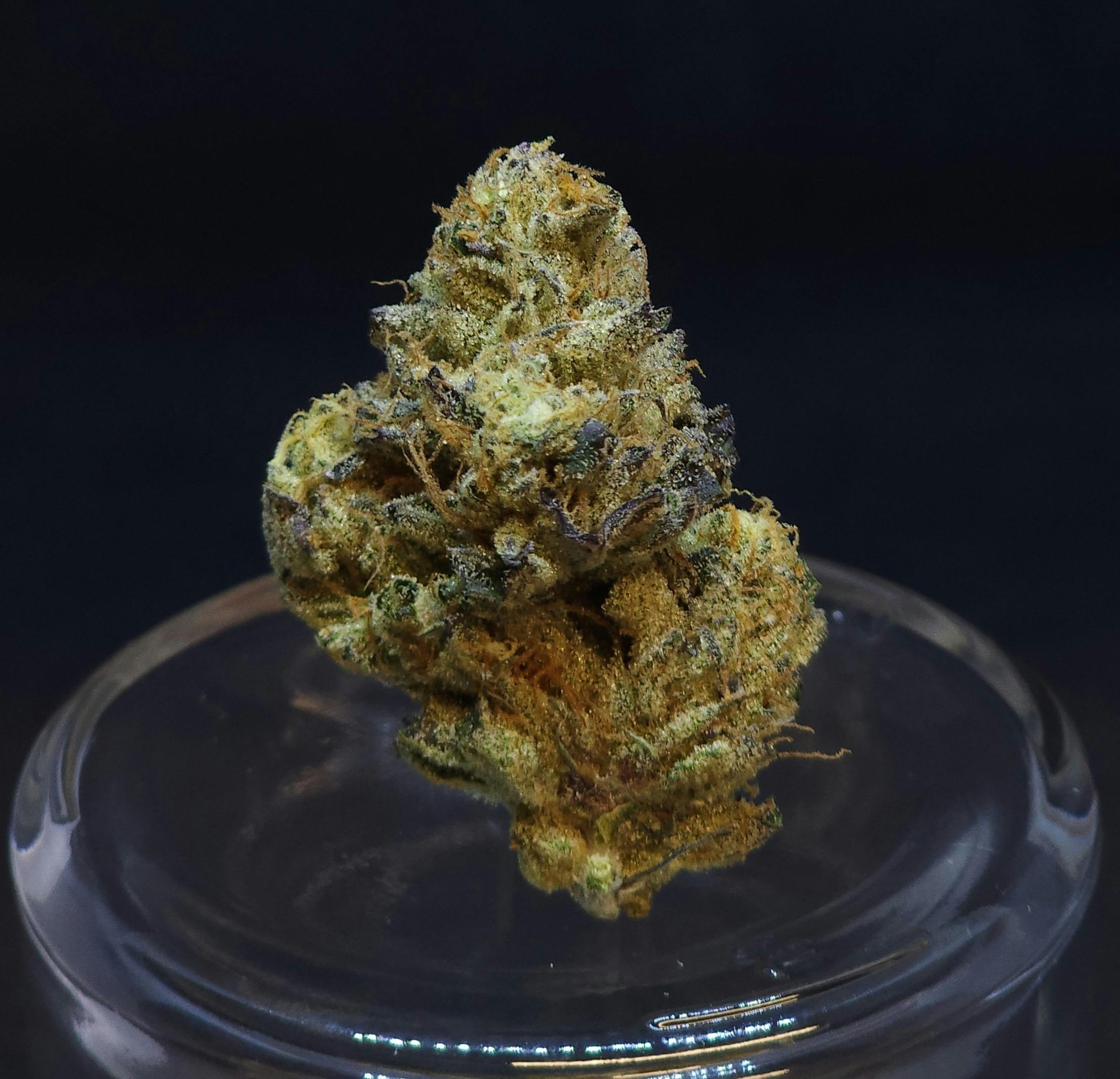 AK Cake .5g Pre-Roll 5 Pack - image 1