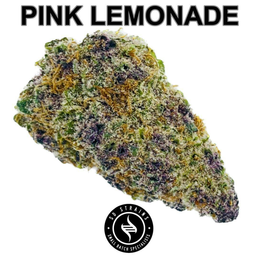 SD Strains Pink Lemonade 3.5g - image 1