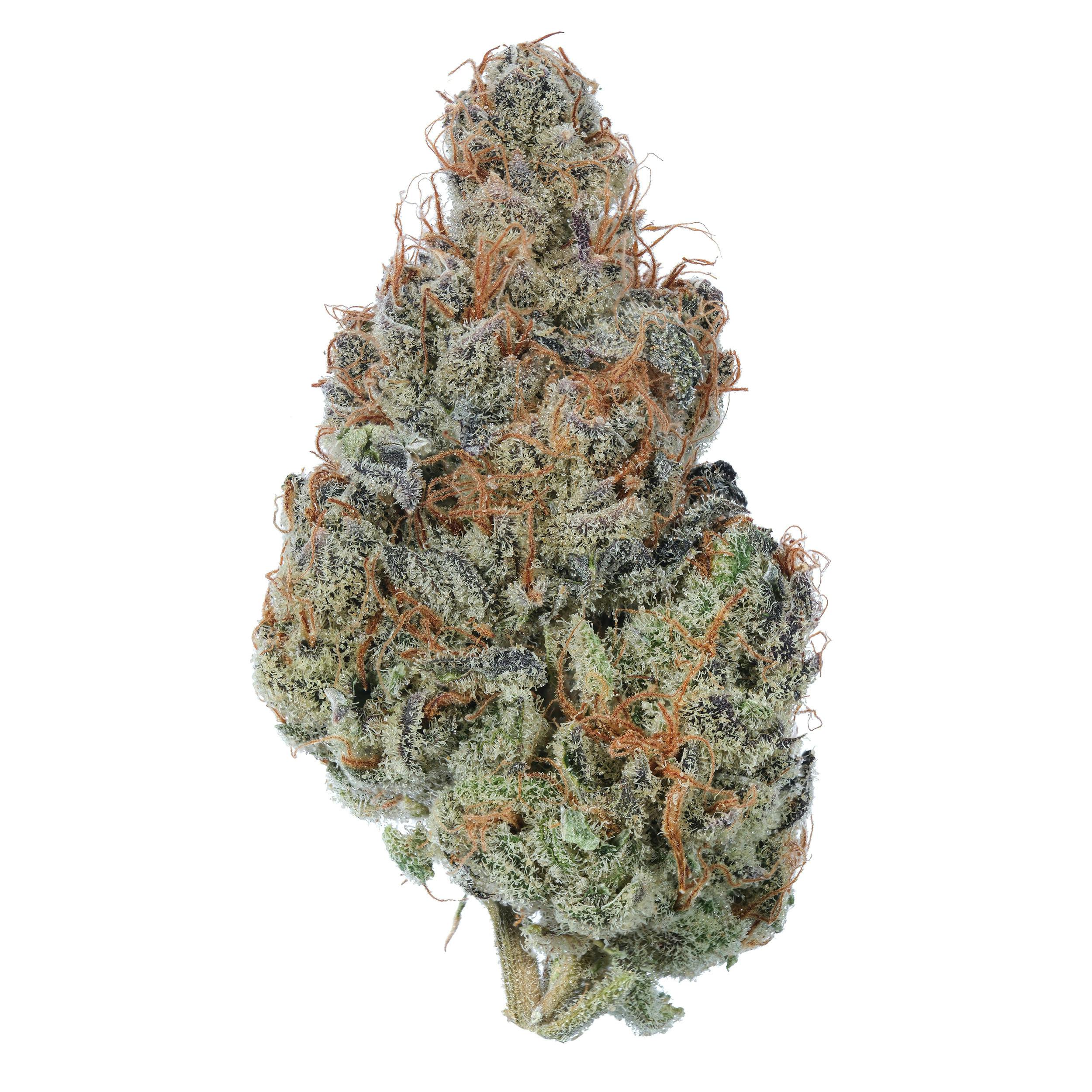 Peanut Butter Breath Flower - image 1