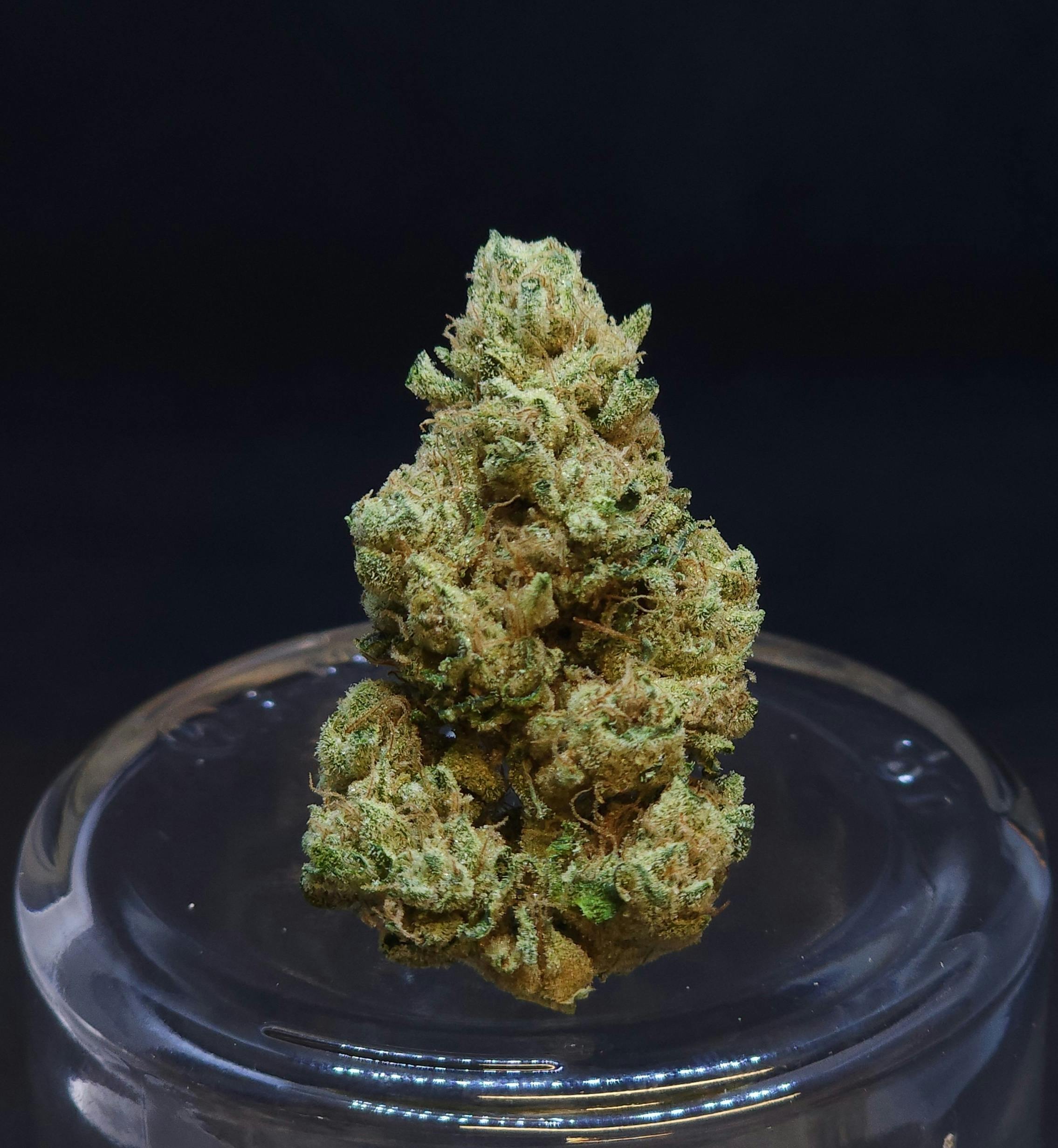 Phatso .5g Pre-Roll - image 1