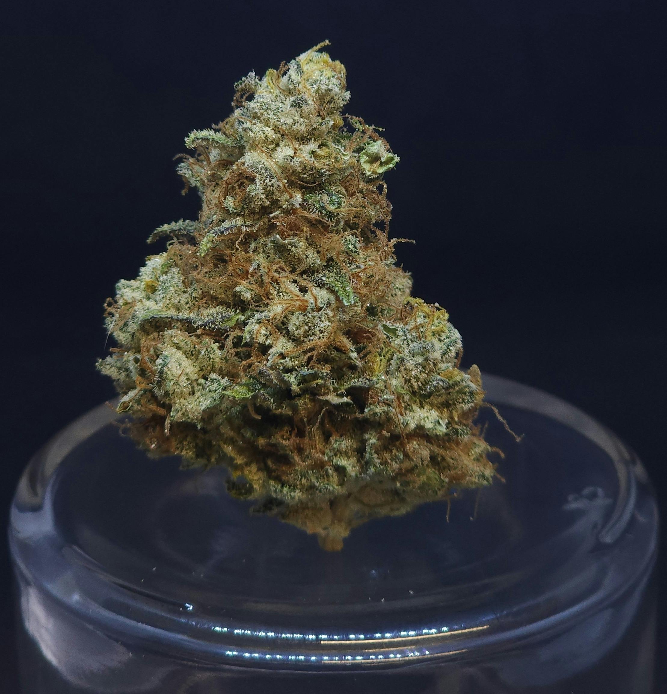 cAKe & Pie .5g Pre-Roll - image 1