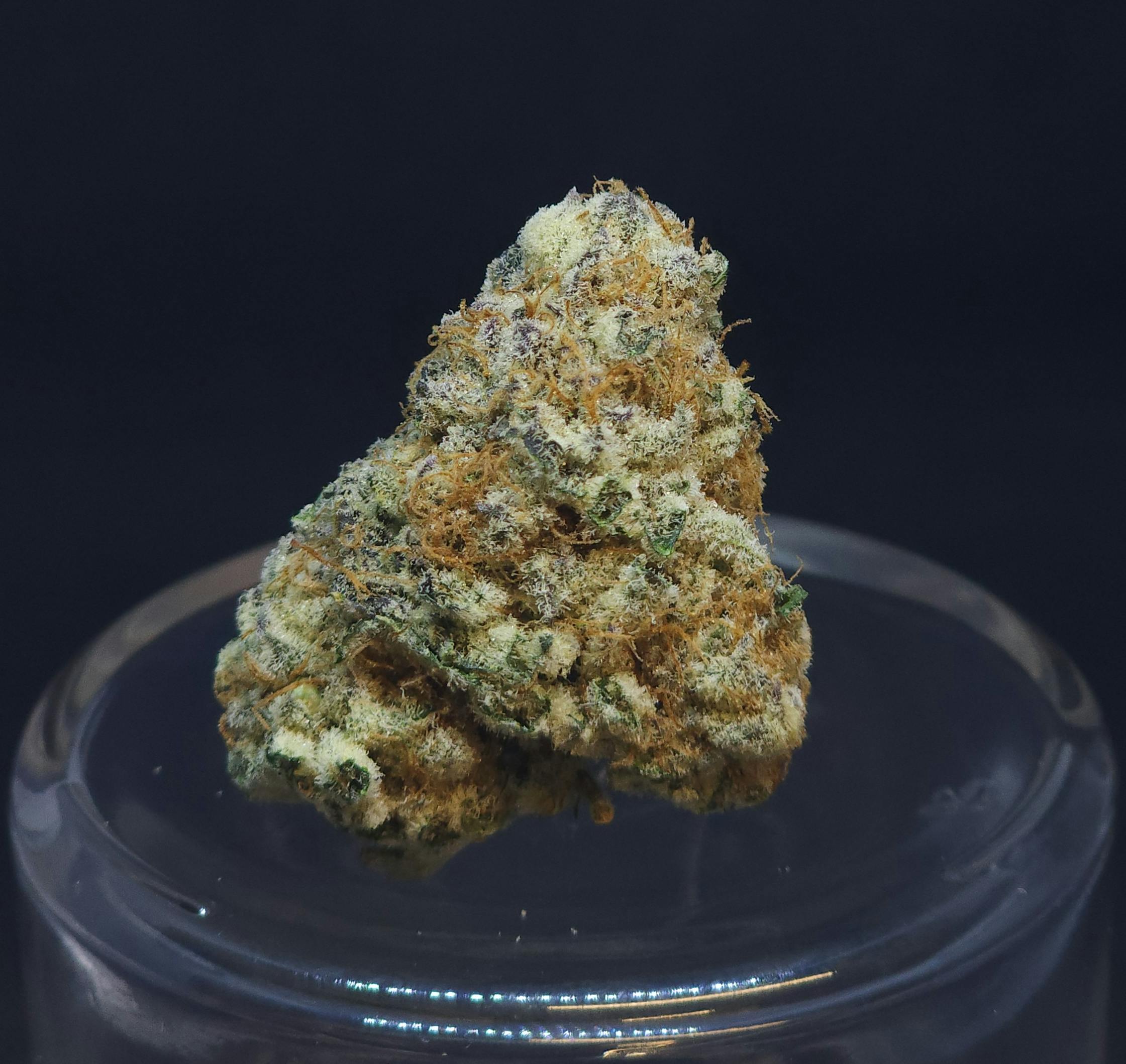 Purple Punch 3.5g Flower - image 1