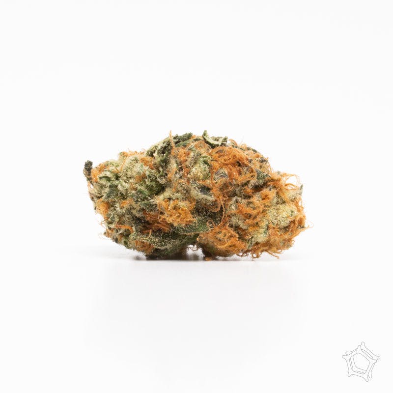 Electric Peanut Butter Cookie Preroll 1g 3 Pack - image 1