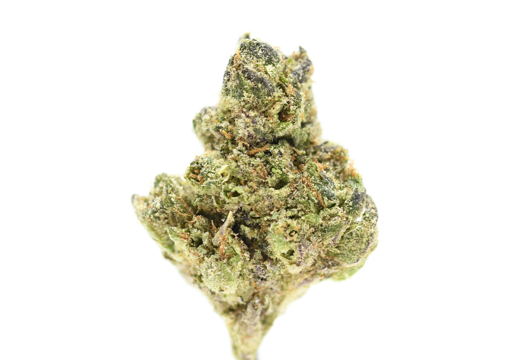 Banana Pie OG 3.5g Flower - image 2