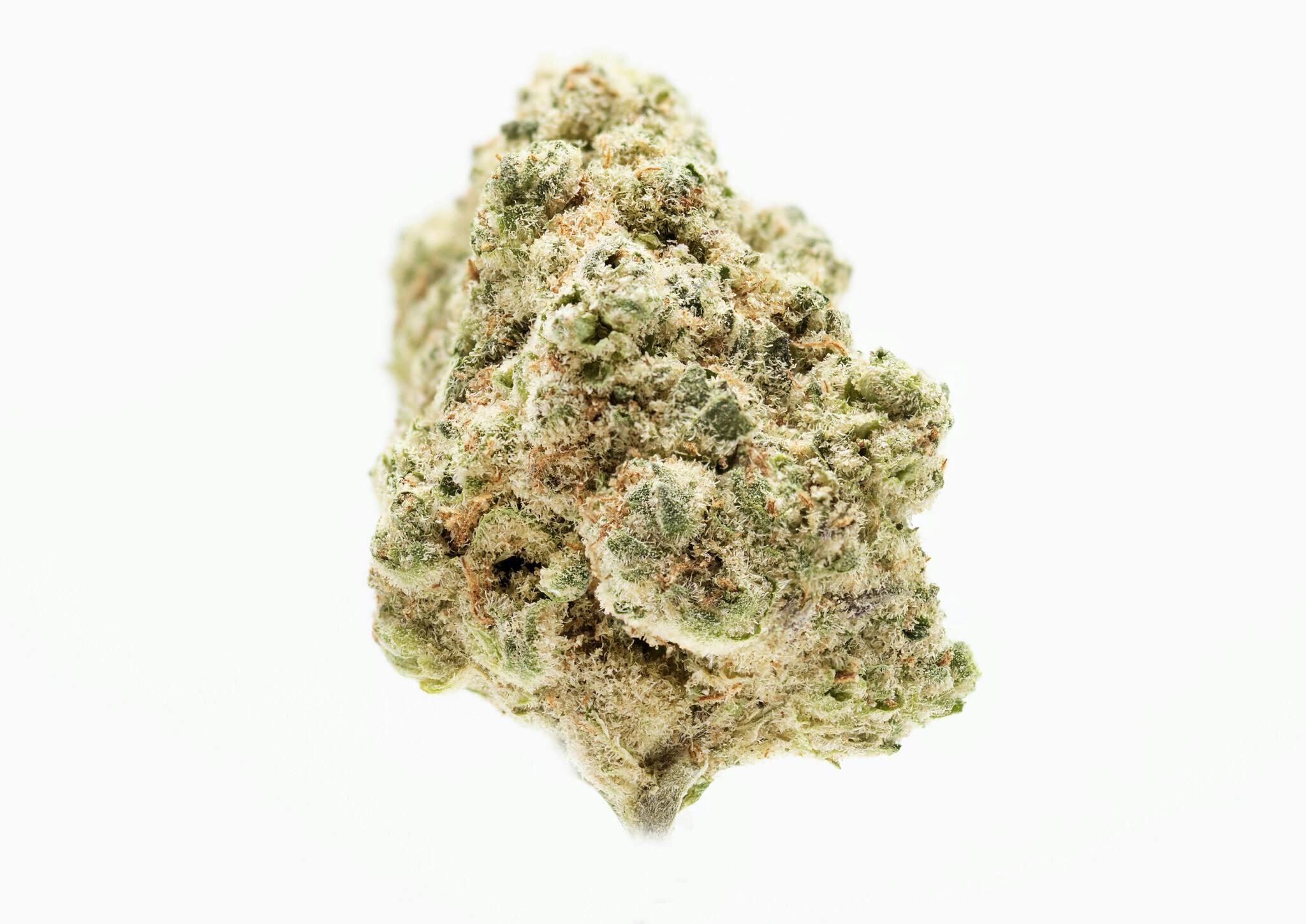 Dosidos 3.5g Flower - image 2