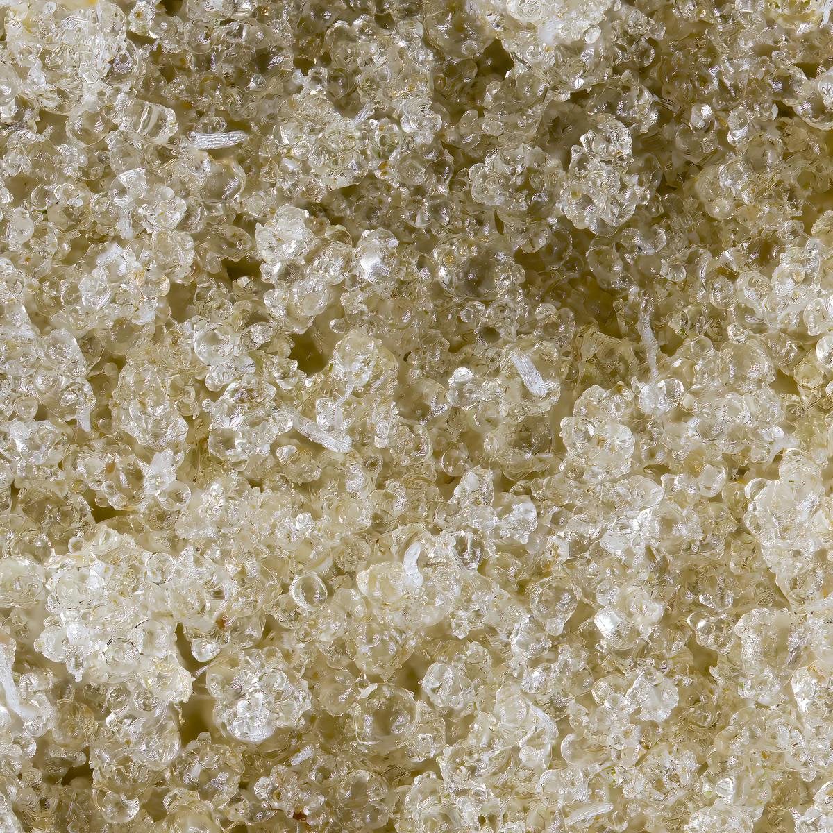 Gelato Mints Ice Water Hash - image 3