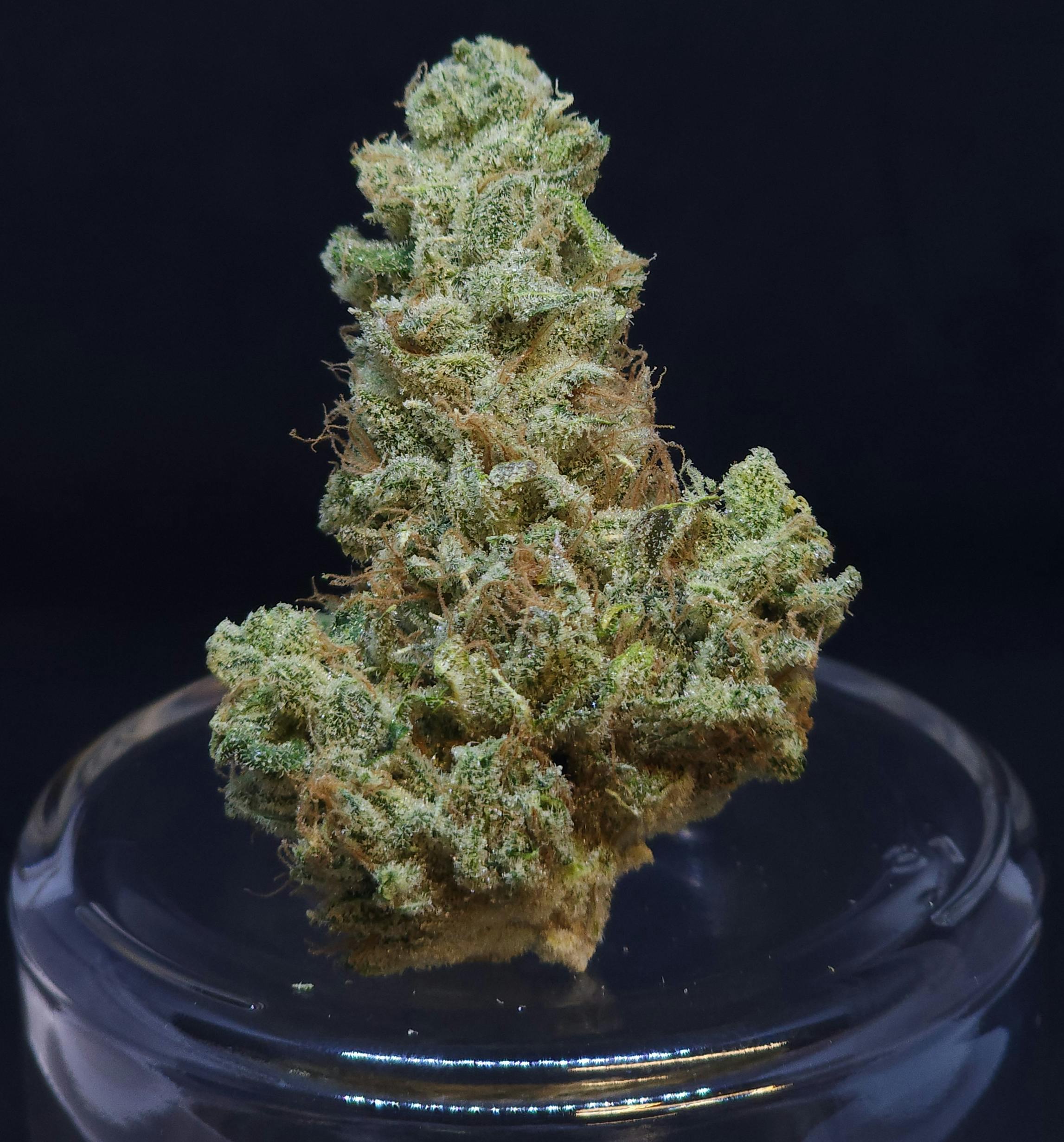 Scuba's KeyLime OG .5g Pre-Roll - image 1