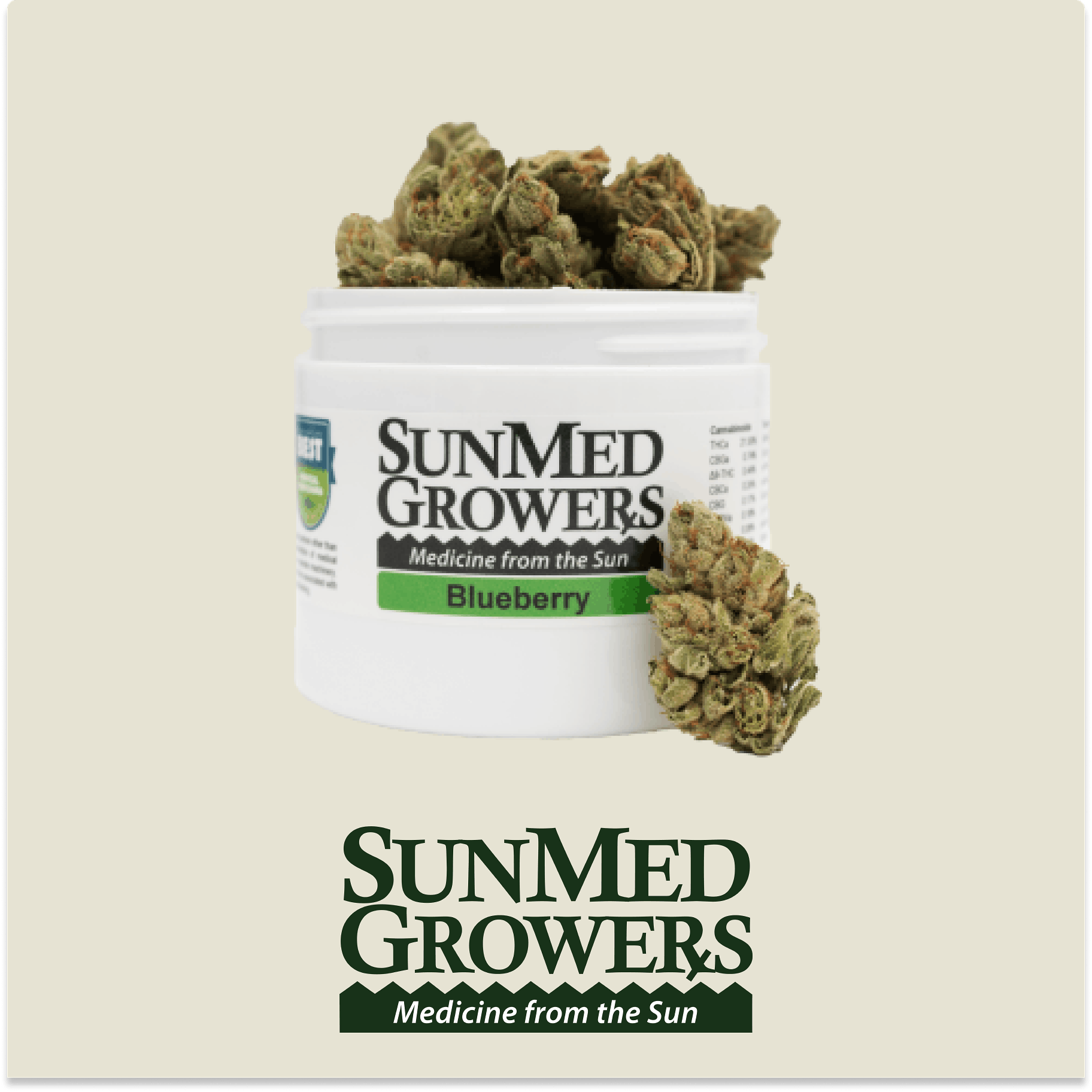 Blueberry Flower (7g) - image 1